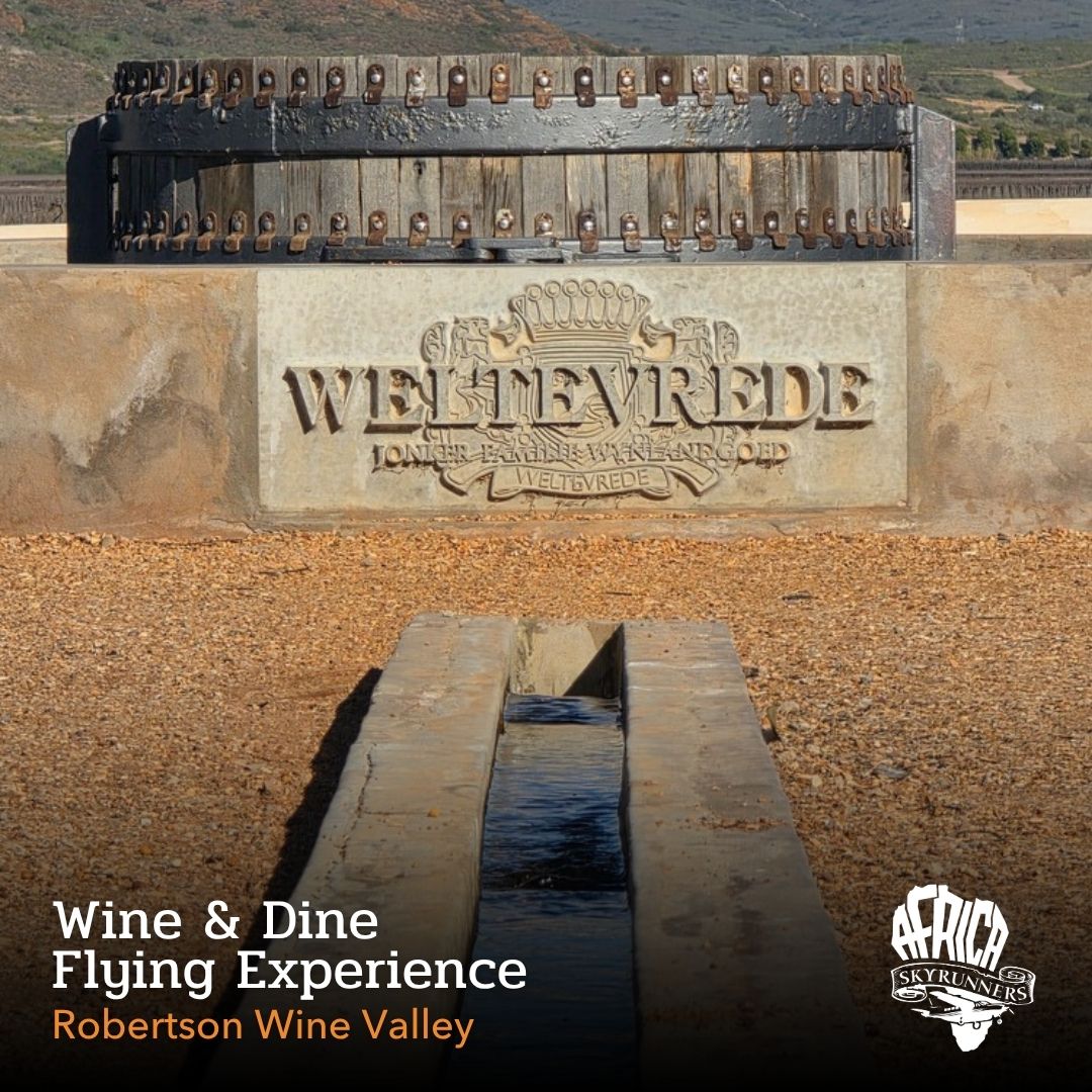 Day 3 of our Wine & Dine Flying Experience lands you in the Robertson Wine Valley for a wine tasting at @weltevredewines in Bonnievale. A fourth generation Jonker family farm known for Chardonnay and Cap Classique and if timings allow, add the atmospheric underground Captivated by Chardonnay experience.
Lunch follows at @kapokbosrestaurant on the estate, where seasonal, farm to table cooking is presented by chefs Juan Fourie and Samantha Morris Fourie, with tables overlooking rose gardens and vineyards.
A final scenic leg returns you to Stellenbosch/Cape Town, tracing vine lined valleys back home.
Visit our website for more information on Africa Sky Runners Wine & Dine Flying Experience 👉 https://bit.ly/flyexpwinedine
Bookings📞💬+27 (0)83 760 1330 📨info@africaskyrunners.com
#AfricaSkyRunners #WineAndDine #FlyTheCape #WesternCapeAdventures #SkyToVine