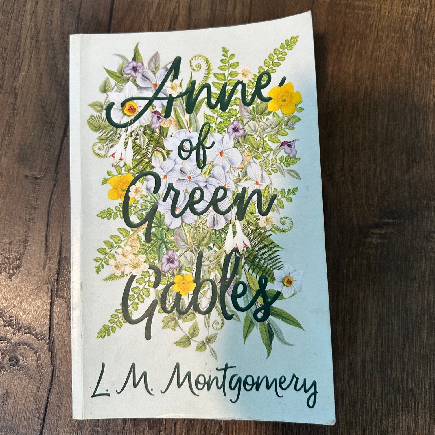 Reading Anne of Green Gables and smiling at every dramatic thought 💐✨
Imagination, belonging, growth... Anne just gets it.
Soft-hearted stories will always matter.
#bookstagram #books #reading #booklover #booksofinstagram #bookish #amreading #readmorebooks #Christianfiction #Christianbooks #Christianromance #cleanreads #faithreads #romancebooks #newbookalert #mustread #readersofinstagram #Christianauthor #bookcommunity #KatieCorwinBooks