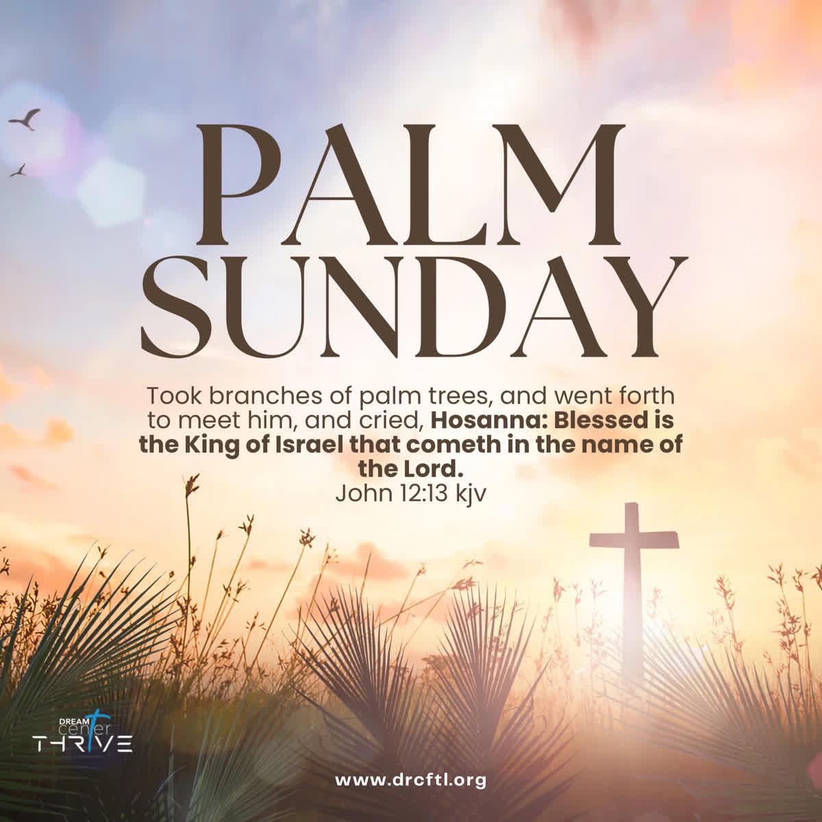 Today we celebrate the King who came in humility but reigns in power. Blessed is He who comes in the name of the Lord. #PalmSunday
