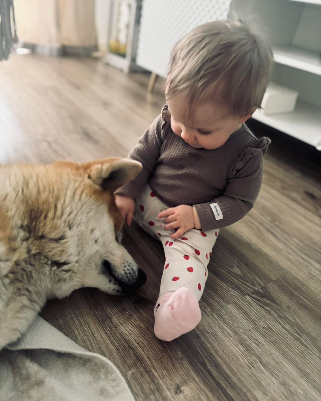 Przyjaciółki 🧡🩷 #futro #pieskiezycie #psy #akitaworld