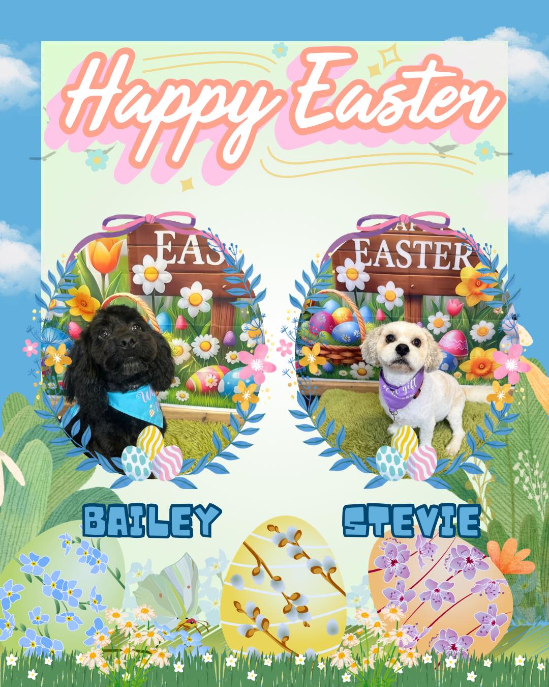 Bailey & Stevie
.
.
.
#worcesterparksurrey #surbitonandsurroundingareas #surbiton #nonsuchpark #surbitonsmallbusiness #newmalden #surrey #worcesterpark #dogsofsurrey #newmaldendogs #tolworthdogs #raynespark #tolworth #esher #epsom #surbitondogs #nonsuchparkdogs #ewell #worcesterparksurreybusiness #chessington