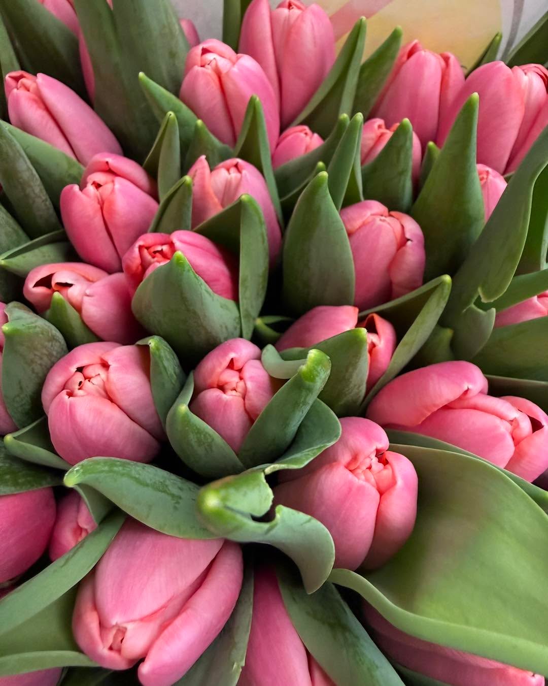 🌸 Bel arrivage tout droit de Rungis ce matin !
De magnifiques fleurs viennent d’arriver à la boutique… de quoi faire le plein de fraîcheur et de couleurs ✨
À très vite 🌿