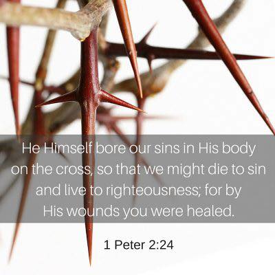 Our verse for today 🙏