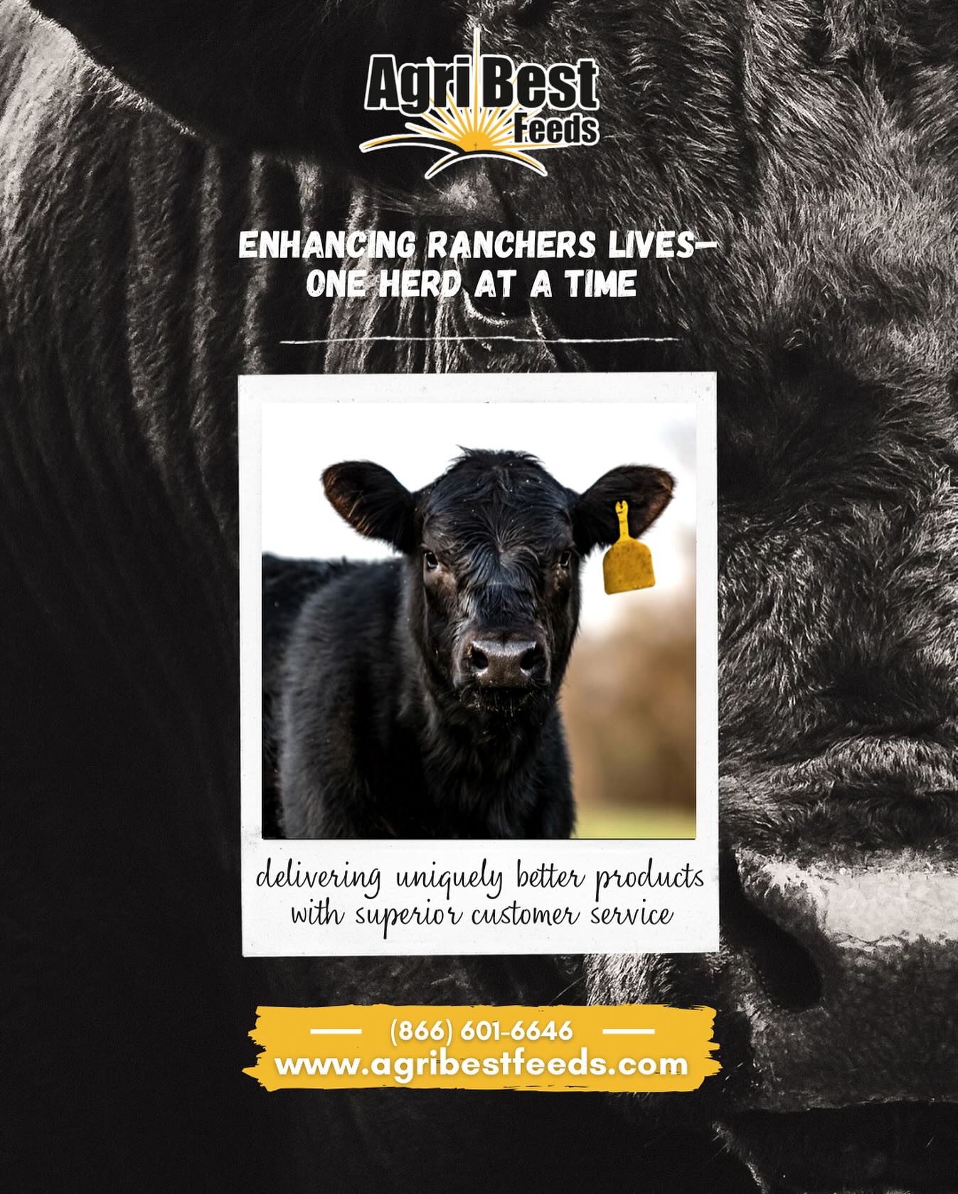 Delivering uniquely better products with superior customer service ✨
www.agribestfeeds.com
#agribestfeeds #farmandranch #cattleranch #herdhealth #livestocksupplements