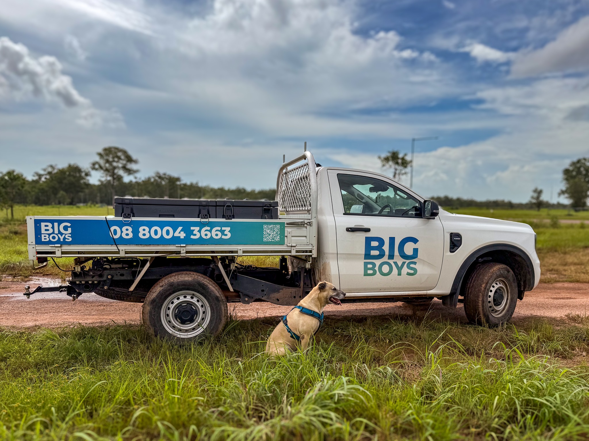 Ahsoka inspecting the ute 🐾