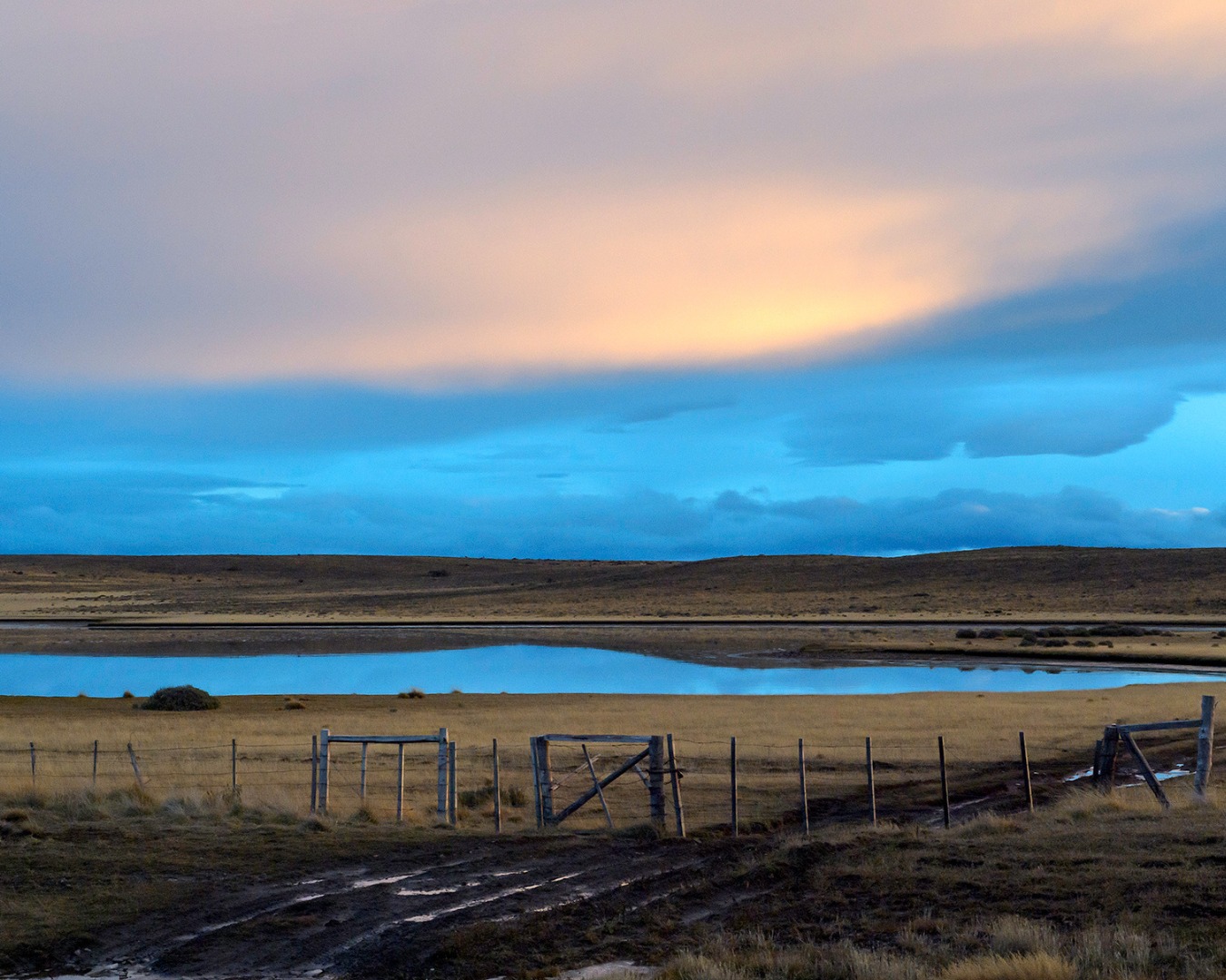 Entre montañas, viento y silencio, la Patagonia sigue contando su historia 🐆🌄
Aquí, cada rastro, cada paisaje y cada encuentro nos recuerda por qué protegemos este territorio.
En Fundación Cerro Guido Conservación trabajamos para que la vida silvestre y las personas puedan coexistir, cuidando la tierra a través de la ciencia, el trabajo en terreno y el respeto profundo por la naturaleza 🌿✨
Conservar es aprender a mirar, escuchar y convivir.
-
Among mountains, wind, and silence, Patagonia continues to tell its story 🐆🌄
Here, every track, every landscape, and every encounter reminds us why this territory matters.
At Fundación Cerro Guido Conservación, we work to ensure that wildlife and people can coexist, protecting the land through science, fieldwork, and a deep respect for nature 🌿✨
Conservation begins with learning how to observe, listen, and live alongside the wild.
📸 @piavergarafotografia
#Patagonia #Conservación #VidaSilvestre #Coexistencia #CerroGuido