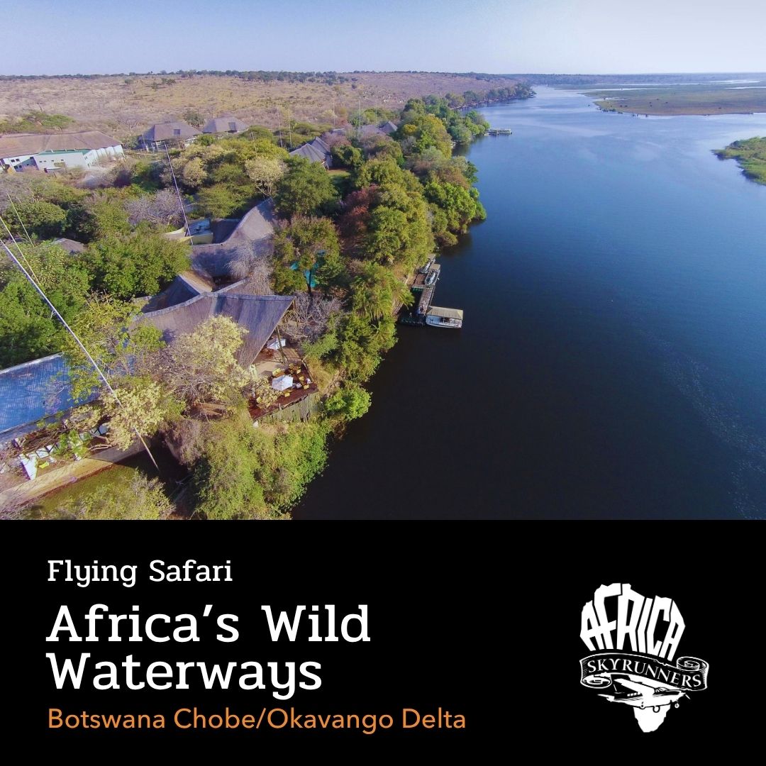 Experience Botswana from above and water level on our Africa’s Wild Waterways Flying Safari. Explore Chobe’s riverfront by boat and game drive, spotting elephants, hippos and rich birdlife, before flying to the Okavango Delta for mokoro journeys, island drives and classic sightings like lion, wild dog and red lechwe — a perfect blend of river, delta and wilderness.
This multi-day safari links the Zambezi–Chobe–Okavango–Tofo by private, low level flights with your own pilot/host/guide.
Learn more about our Africa Sky Runners Africa’s Wild Waterways Flying Safari👉 https://bit.ly/flysafaris
#AfricaSkyRunners #FlyingSafari #AirSafariAdventure #WingsOverAfrica #ExploreFromAbove