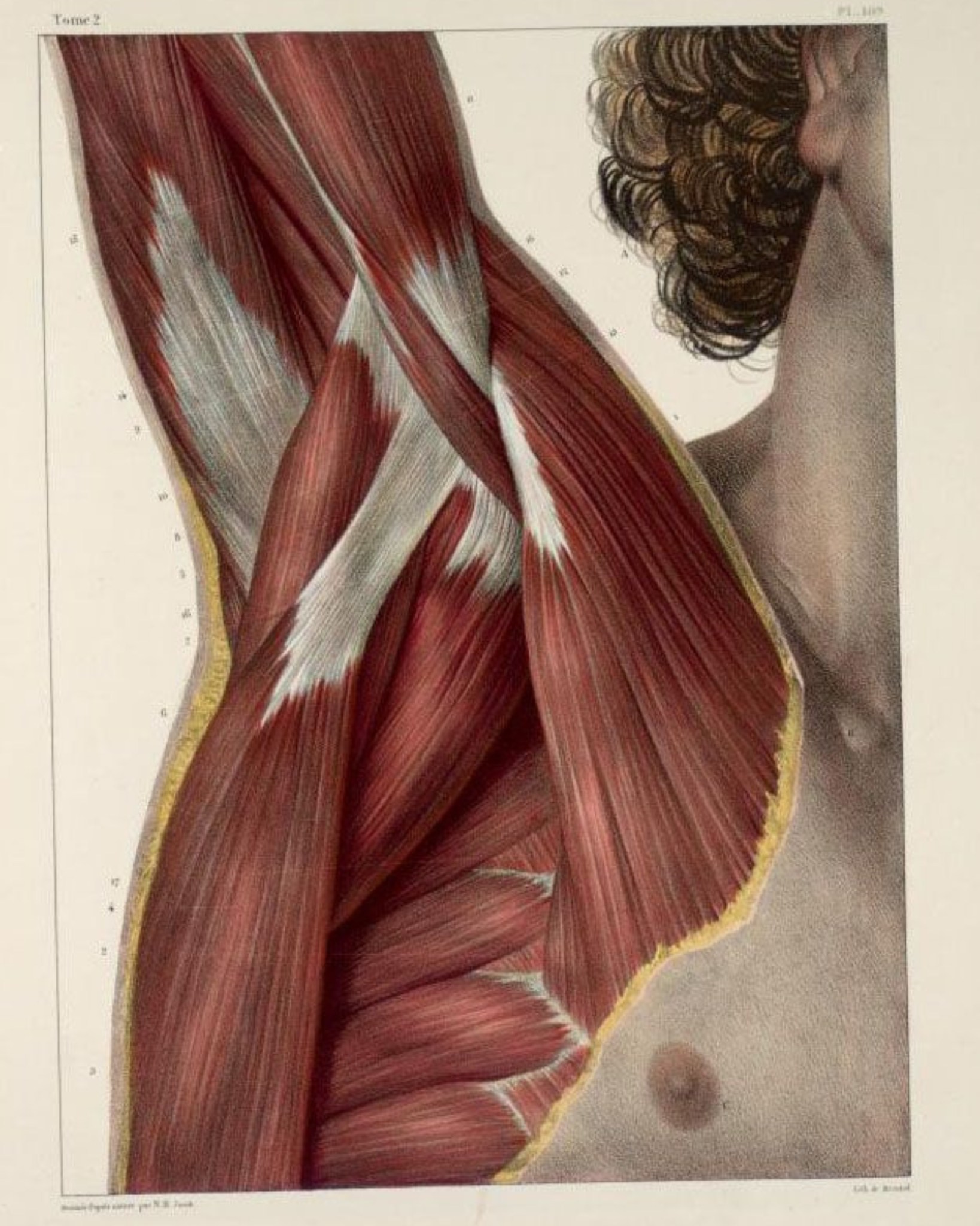 This is the year we recognize that our body is whole, that our body is not separate, that they're not parts of ourselves, that our consciousness is not separate from our bodily experience. That we are this physical body in its beauty and all of its manifestation.
#ArtemisMovement #ArtemisInTheWild #MindfulMovement #TherapeuticMovement #PosturalMovementPractice