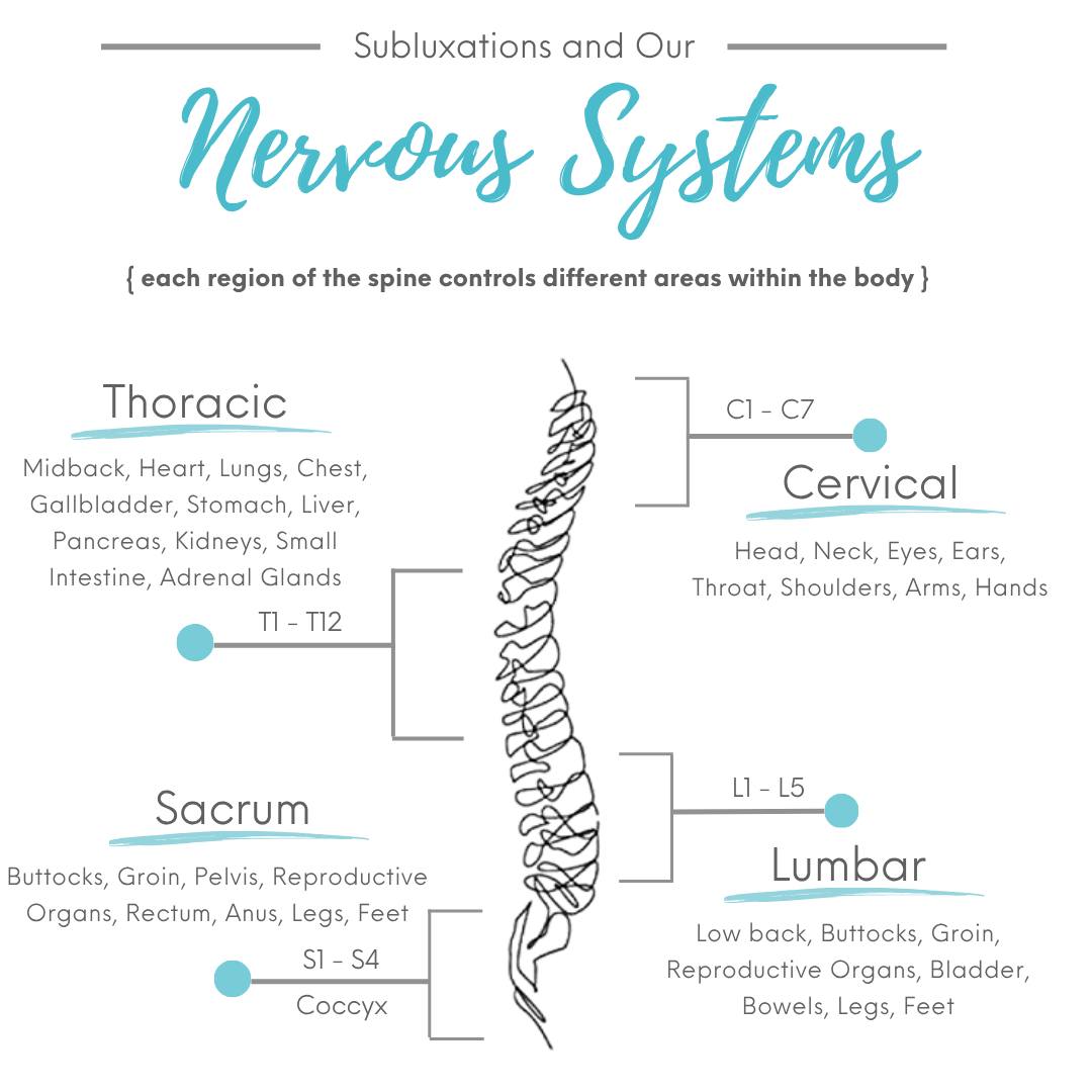 Subluxations And Our Nervous System
each region of the spine controls different areas within the body, and there are possible symptoms associated with malfunction of these areas
Cervical (C1-C7):
Head, Neck, Eyes, Ears, Throat, Shoulders, Arms, and Hands.
headaches, migraines, sleep disturbance, dizziness anxiety, depression, high blood pressure, sinus conditions, allergies, ear aches, vision disturbance, acne, eczema, tinnitus, hearing disorder, runny nose, sore throat, colds, chronic cough, thyroid disorders, neck pain, upper back stiffness and pain, numbness and tingling in hands/arms, carpal tunnel syndrome.
Thoracic (T1-T12):
Midback, Heart, Lungs, Chest, Gallbladder, Stomach, Liver, Pancreas, Kidneys, Small Intestine, and Adrenal Glands.
Possible Symptoms: asthma, cough, shortness of breath, pain in lower arm and hands, mid back pain, functional heart conditions, bronchitis, pneumonia, congestion, influenza, gallbladder conditions, shingles, liver conditions, fevers, poor circulation, nervous stomach, indigestion, heartburn, colic, ulcers, lowered immune resistance, allergies, hives, kidney conditions, chronic fatigue, sugar cravings, gas pains, rheumatism
Lumbar (L1-L5):
Low back, Buttocks, Groin, Reproductive Organs, Bladder, Bowels, Legs, and Feet.
Possible Symptoms: constipation, diarrhea, IBS, hernias, colitis, cramps, varicose veins, bladder issues, menstrual pain, menstrual irregularity, miscarriage, bed wetting, sciatica, lumbago, painful urination, backaches, muscle weakness in legs, cold feet, groin pain
Sacrum (S1-S4 Coccyx):
Buttocks, Groin, Pelvis, Reproductive Organs, Rectum, Anus, Legs, and Feet.
Possible Symptoms: SI joint conditions, low back pain, sciatica, pelvic floor conditions, sterility, spinal curvatures, hemorrhoids, tailbone bone
#kingstonontario #shannonvilleontario #foreveryoungchiropractic #subluxations #nervoussystem
