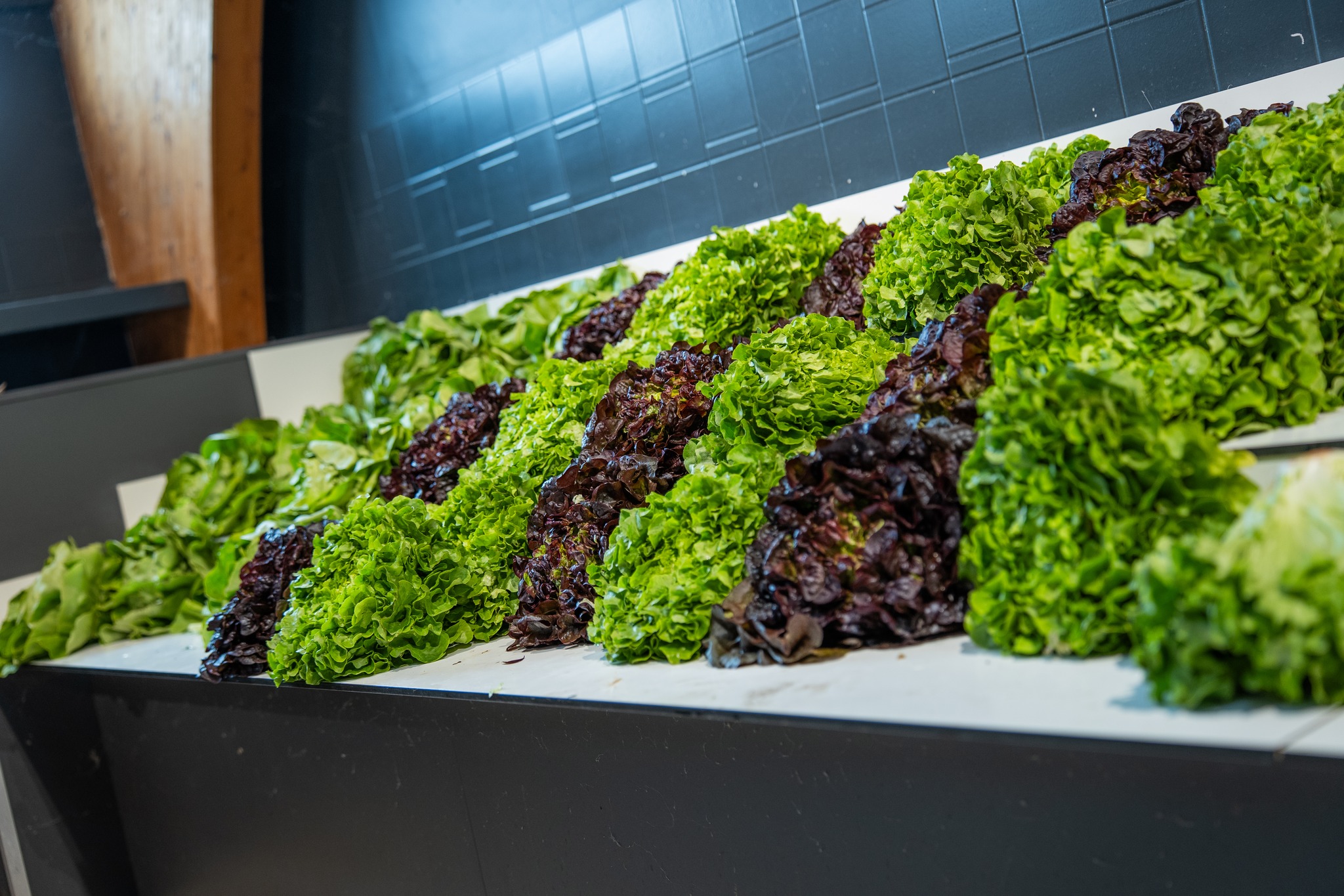 🌿 Les salades, stars du printemps chez Kioui !
Avec l’arrivée des beaux jours, rien de tel qu’une salade fraîche, colorée et gourmande pour célébrer les saveurs de la saison.
.
Chez nous, vous trouverez tout pour composer votre salade idéale : jeunes pousses croquantes, légumes primeurs, fromages affinés et même des idées d’assaisonnements dans notre épicerie fine.
.
👉 Le petit + Kioui : nos fromages, charcuteries et légumes sont sélectionnés chaque matin pour garantir fraîcheur et qualité.
.
Passez nous voir pour composer la vôtre !
.
.
.
#salade #springvibes #mangersain #healthyeating #veggielove #greenfood #kioui #kiouiarras #lebongoutdumarche #kiouiprimeurs #instagourmand #igersarras #arras #hautsdefrance
.
www.kioui-primeurs.fr