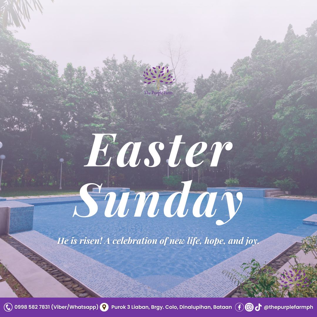He is risen! A day of hope, renewal, and new beginnings.
Celebrate life and fresh starts at The Purple Farm with your loved ones. 💜
#EasterSunday #NewBeginnings #ThePurpleFarmPH #FamilyTime