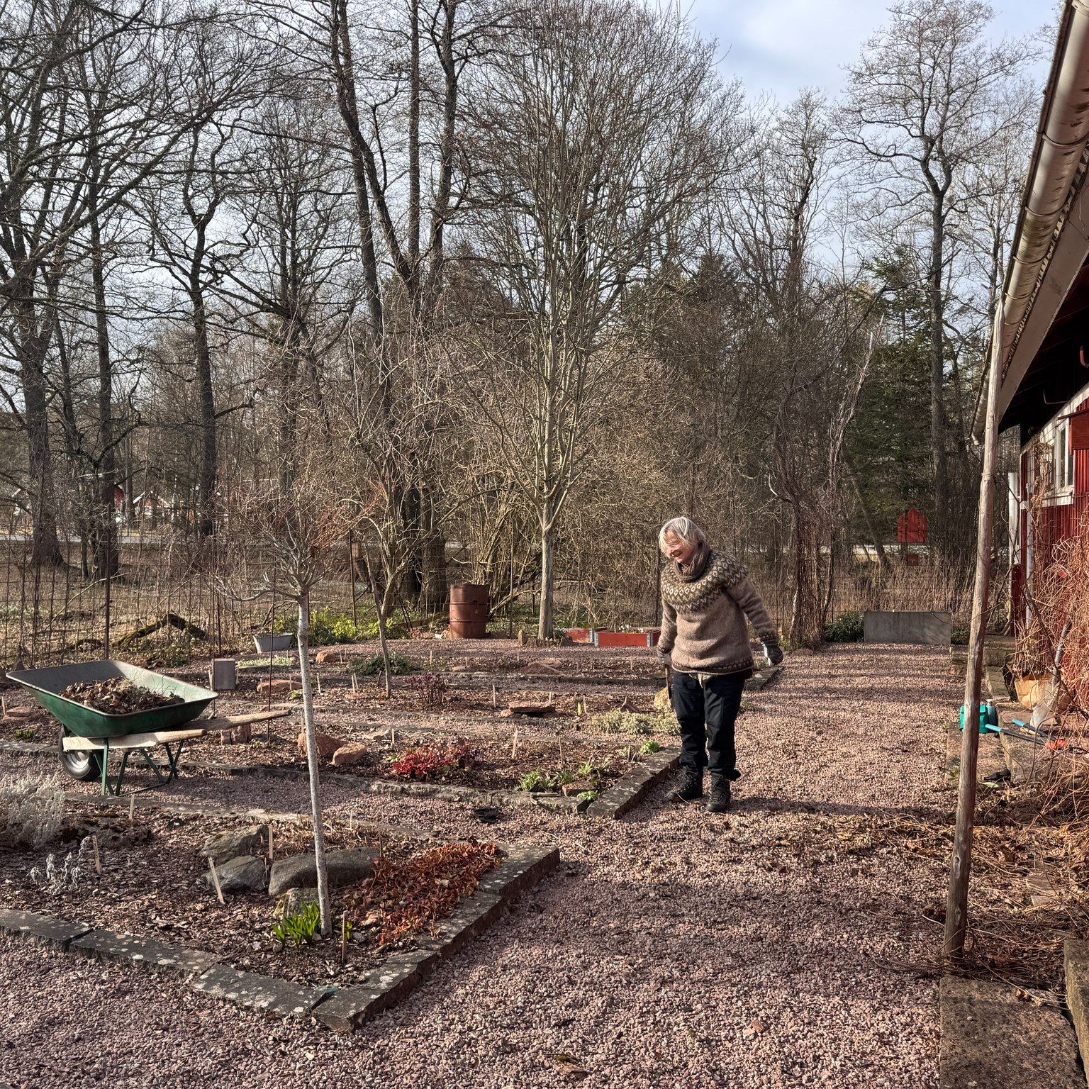 Sakta men säkert vaknar vår örtagård till liv.
Vivianne har varit där i veckan – plockat, krattat och rensat.
Nu ser vi fram emot vår och sommar, och att få följa hur denna vackra plats förändras i sina olika skepnader.🌸
#falkangenkinnekulle #trädgårdsresan #öppnaträdgårdar