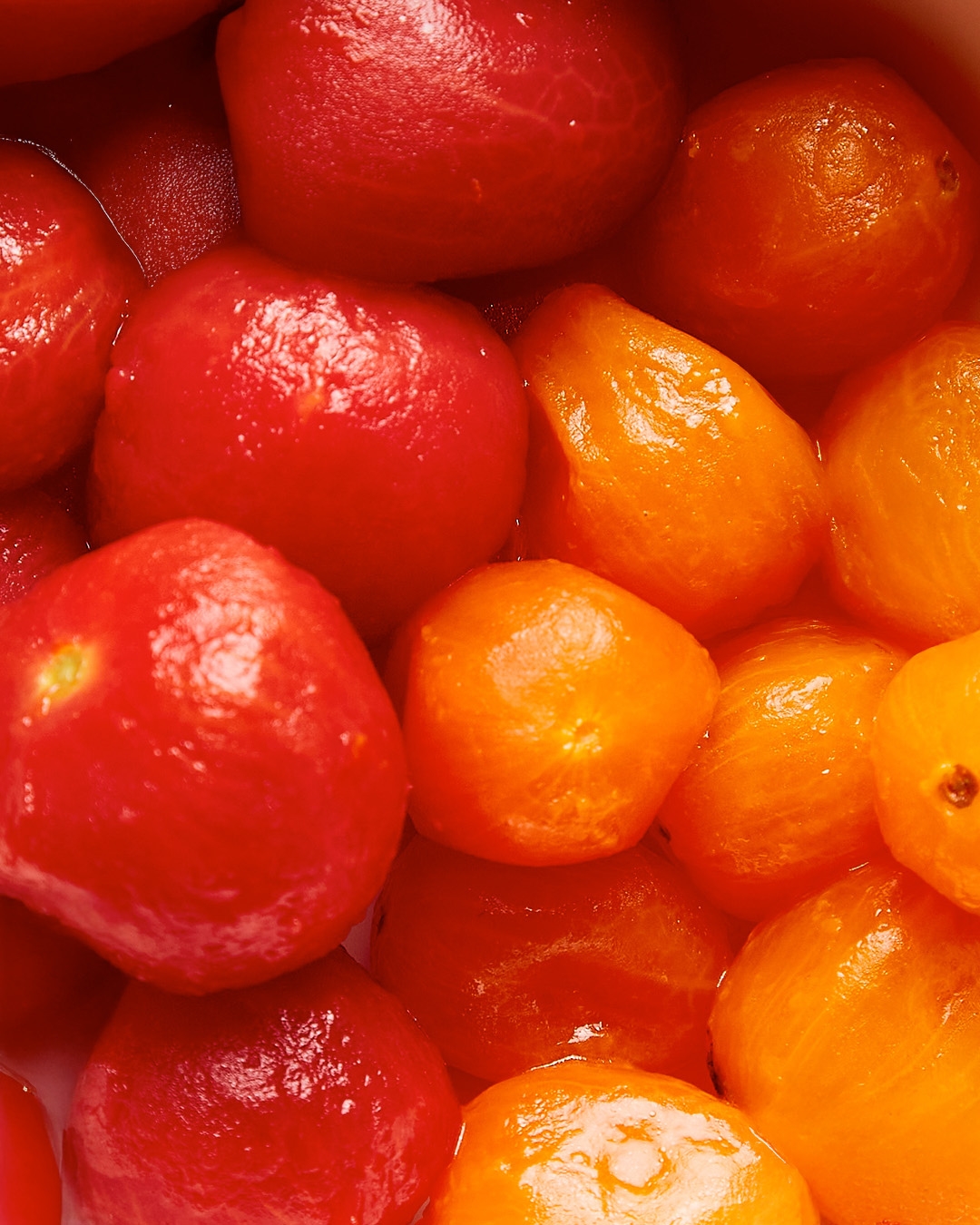 Start fresh, stay a while.