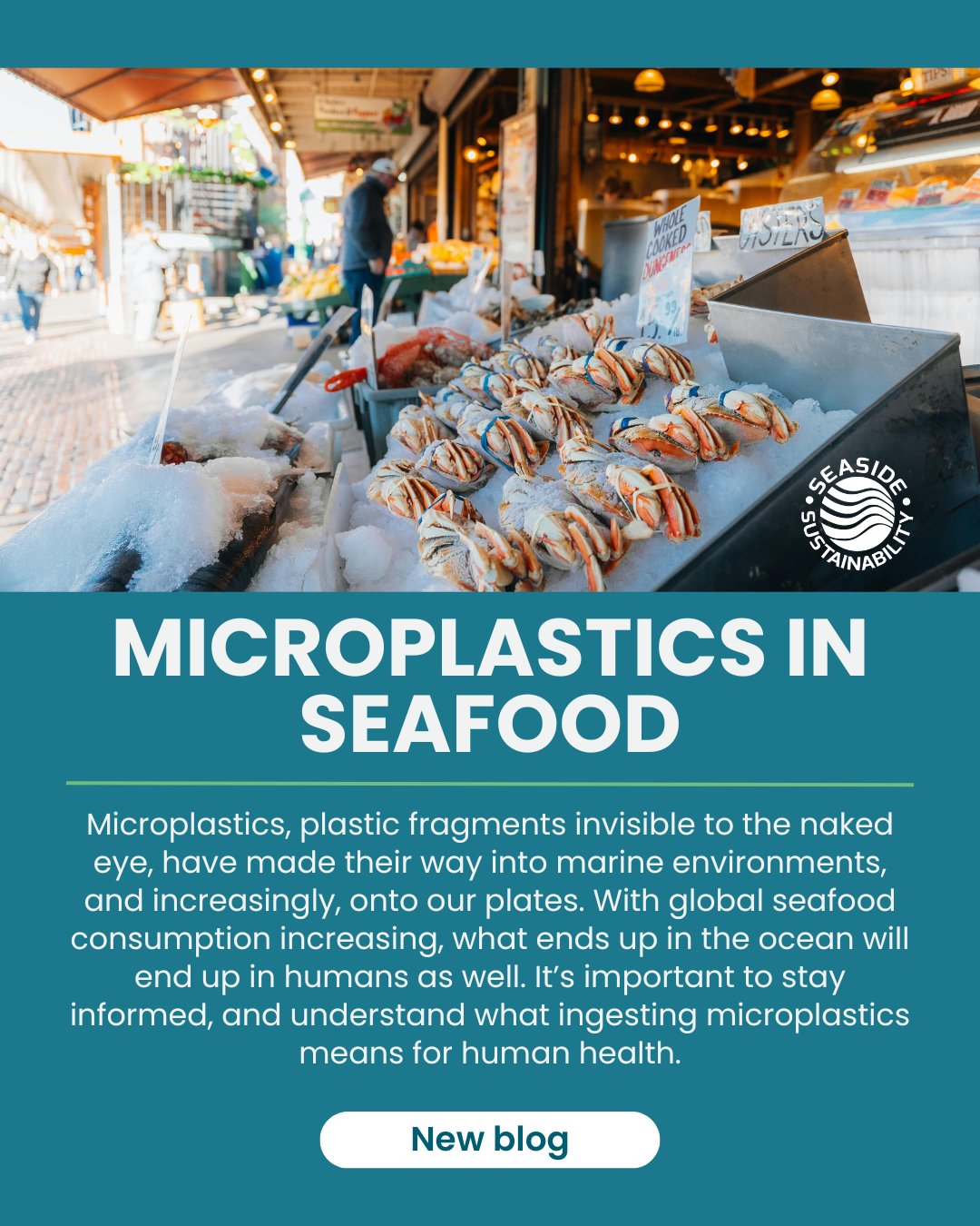 Microplastics are making their way into marine ecosystems and seafood. Our latest blog explores where they come from, how they accumulate, and why this issue matters for both ocean and human health. Read more in our website: www.seasidesustainability.org
#seasidesustainability #microplastics #plasticdiet #sustainableseafood #oceanconservation #blog