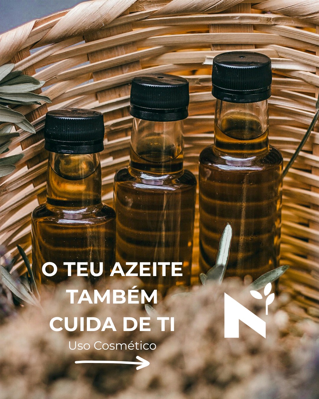Sabias que o segredo de beleza mais antigo não está num frasco de farmácia, mas sim na nossa mesa?
Longe de ser apenas o rei da nossa cozinha, o "ouro líquido" é um ingrediente cosmético milenar, repleto de nutrientes que a nossa pele e cabelo adoram. Esqualeno, ácidos gordos monoinsaturados e a potente Vitamina E trabalham em sinergia para hidratar, nutrir e proteger de forma totalmente natural🌿.
👉 Já experimentaste usar azeite na tua rotina de beleza? Partilha connosco o teu segredo nos comentários!
#AzeiteANorte #BelezaNatural #CosmeticaNatural #TrasOsMontes #AltoDouro #EVOO #OliveOilBeauty #SkincareNatural #CabeloSaudavel #VitaminaE #Esqualeno #OuroLiquido #Sustentabilidade #azeitevirgemextra #gastronomiaportuguesa #turismorural #azeite #nortedeportugal #turismoanorte #olivoturismo #oliveoilturism #wellness #gastronomy #portugal #portoandnorth #visitportugal #visitportoandnorth #slowlife #olivoturismoportugal
