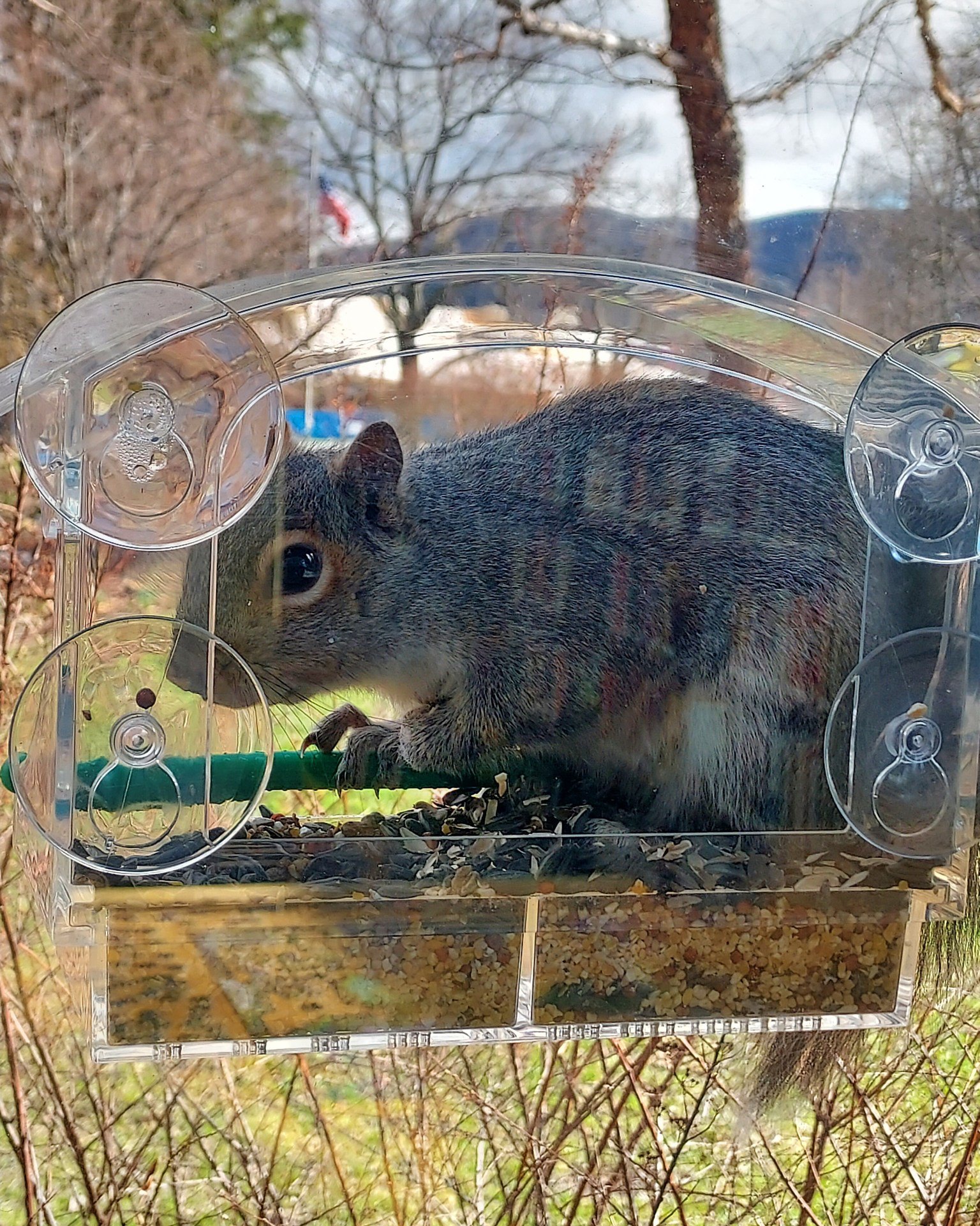 We encourage all our patrons to use our free resources - even our furry and feathered friends! 🐿️