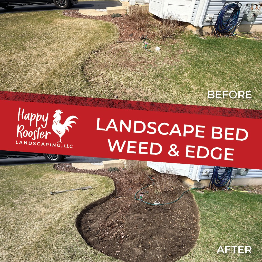Crisp lines and clean beds! Another property looking fresh, defined, and ready for a fresh layer of mulch!
A great mulch install starts with proper preparation—clean edges, cleared beds, and attention to detail make all the difference in both appearance and longevity.
#HuntleyIL #MulchInstallation #LandscapeMaintenance #CurbAppeal #CleanLines #LandscapeProfessionals #LocalBusiness #HappyRoosterLandscaping #PropertyCare #AttentionToDetail
