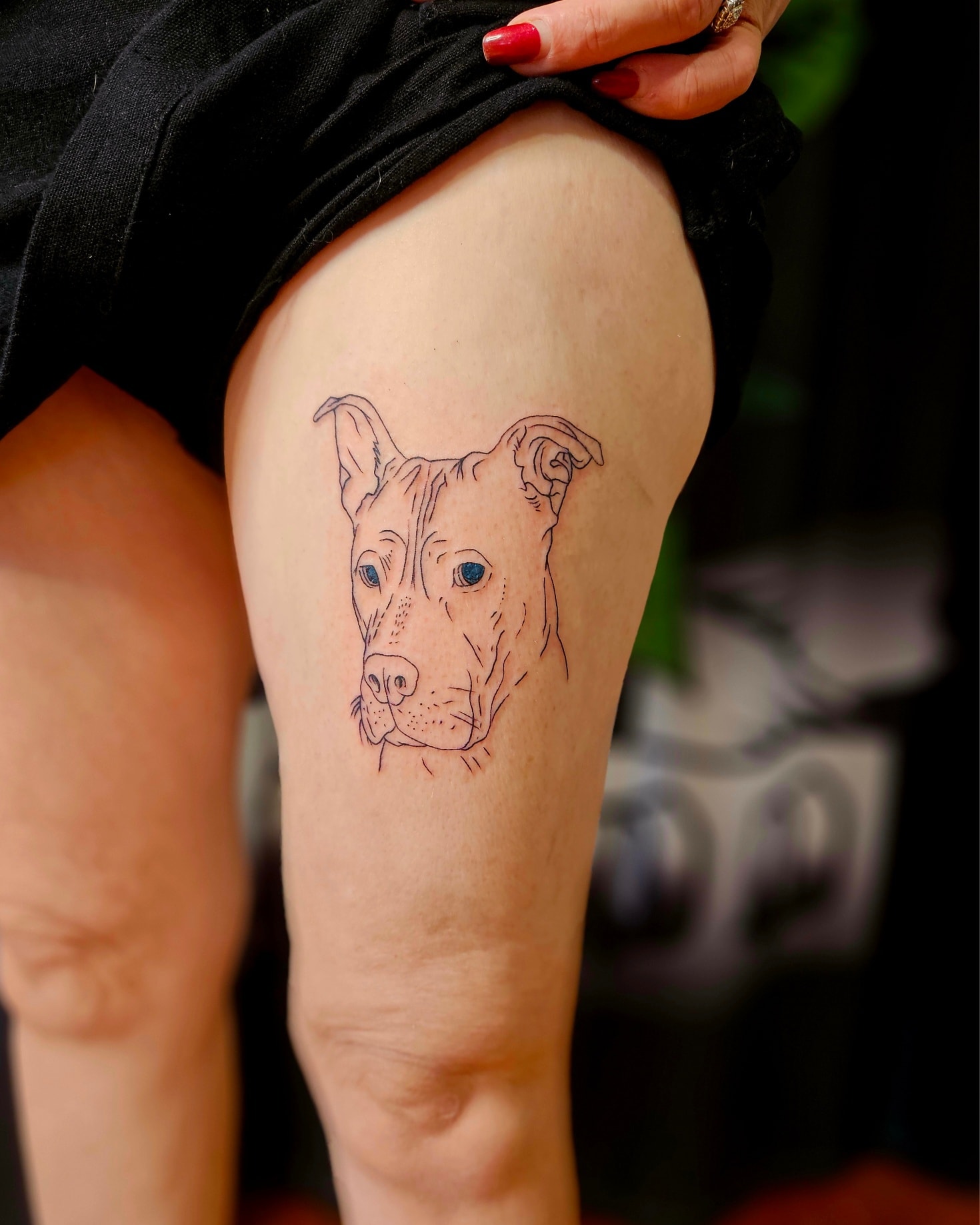 Pet portrait linework design by Pete @Pete_Explicit Ink #tattoo ##petportrait #petportraittattoo #explicitinktattoo #ink #graywashtattoo #melbournetattoo #tattooistnearme #stalbanstattoo