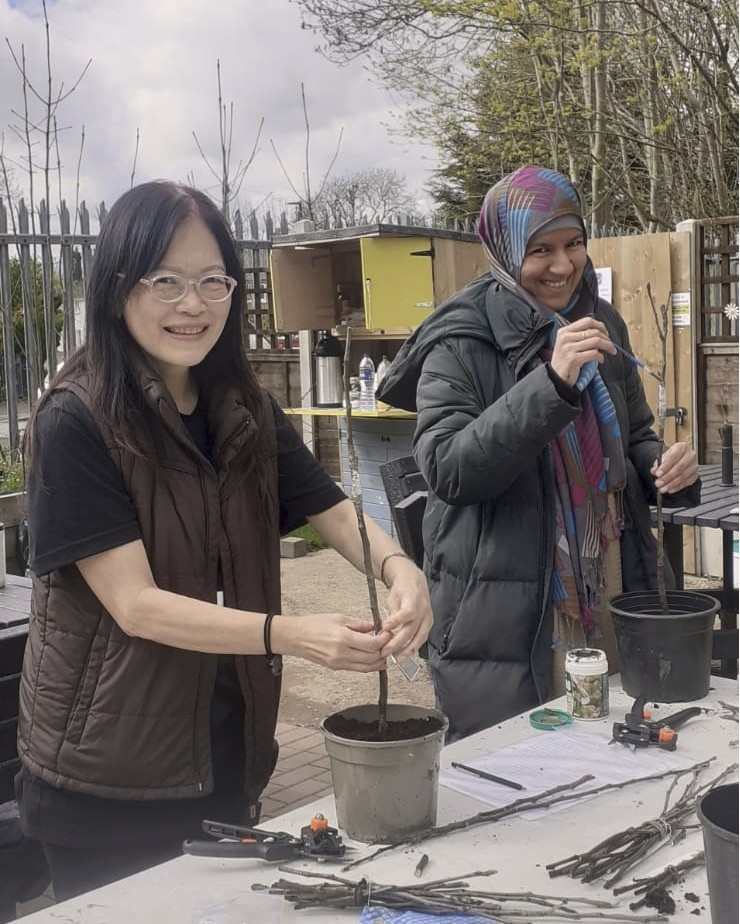 #FruitTreeGrafting work taking place earlier this week at #DawberryCorner #CommunityGarden in #Brandwood with @ourscenecic.