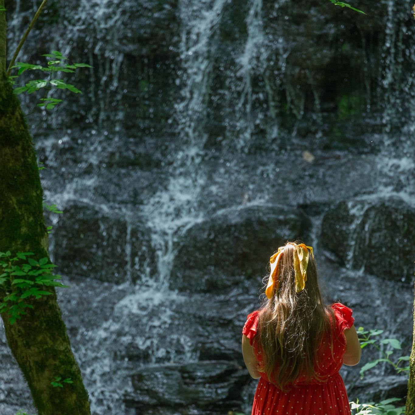 Spring is in the air at Jackson Falls! 🤩🌊
📍Jackson Falls, TN
📸: Odinn Media