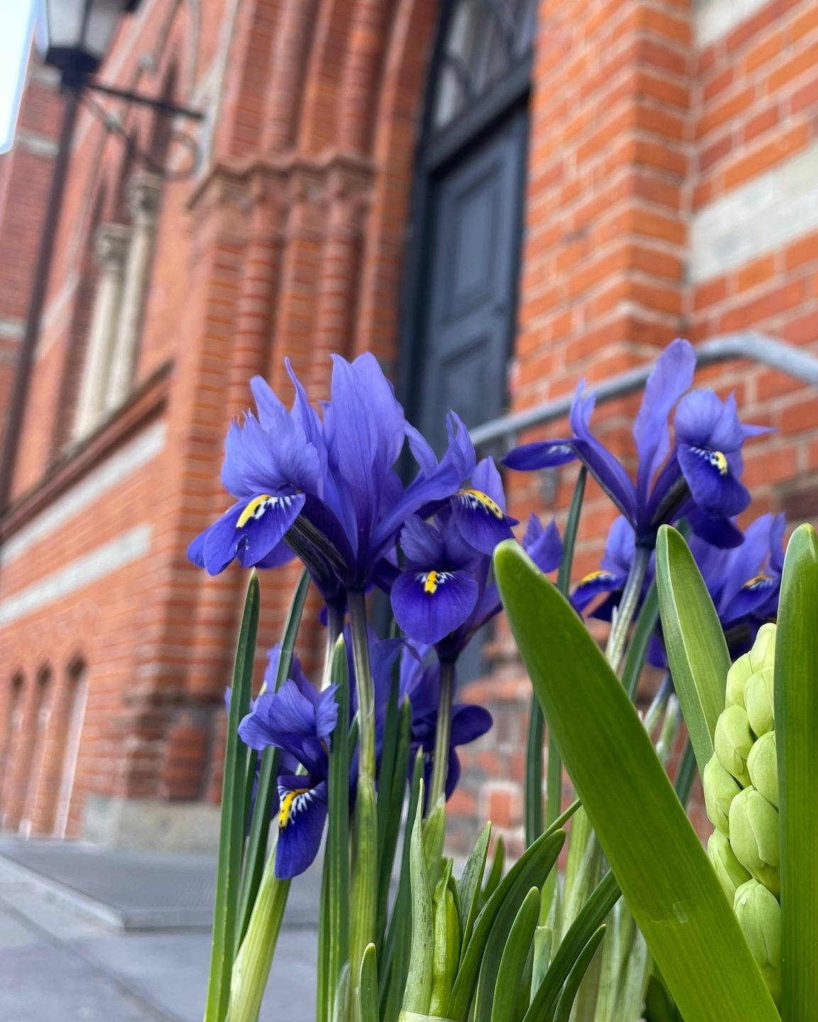 Vi holder påskeferie!
Der er forår i luften, og team Work2gether holder påskeferie i denne uge. Derfor holder arbejdscaféen lukket fra:
🗓️ I dag, mandag d. 30. marts til og med mandag d. 6. april.
Vi står klar med lune croissanter og lækker kaffe igen tirsdag d. 7. april. Vi glæder os til at se jer!🌷