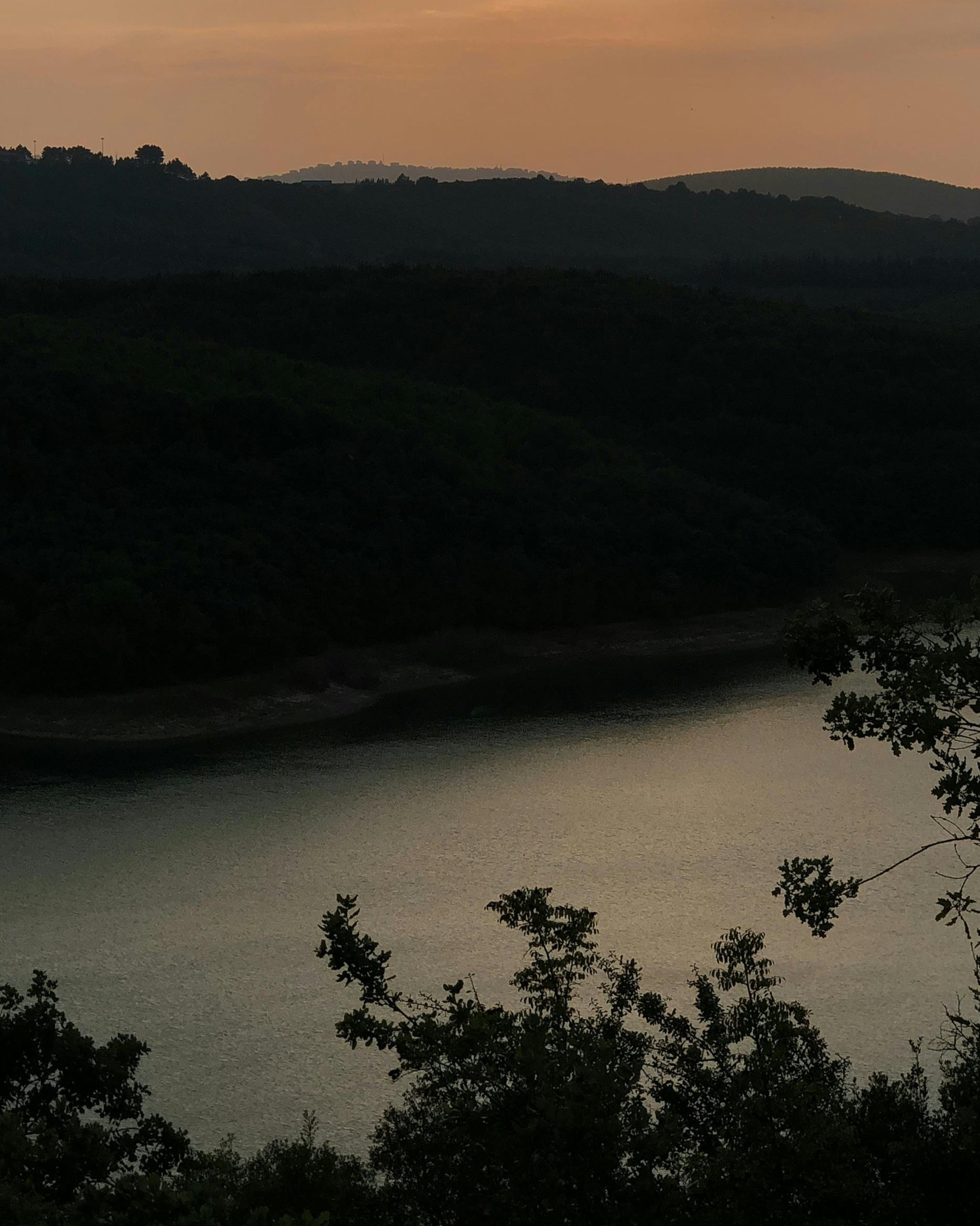 We in Artemis, just like the huntress, we seize the day. We move into the day early, preferably even before dawn, to feel that we have some part of the day that is ours. The silence of it, the quiet of it, the meditation of it.
#ArtemisMovement #ArtemisInTheWild #MindfulMovement #TherapeuticMovement #PosturalMovementPractice