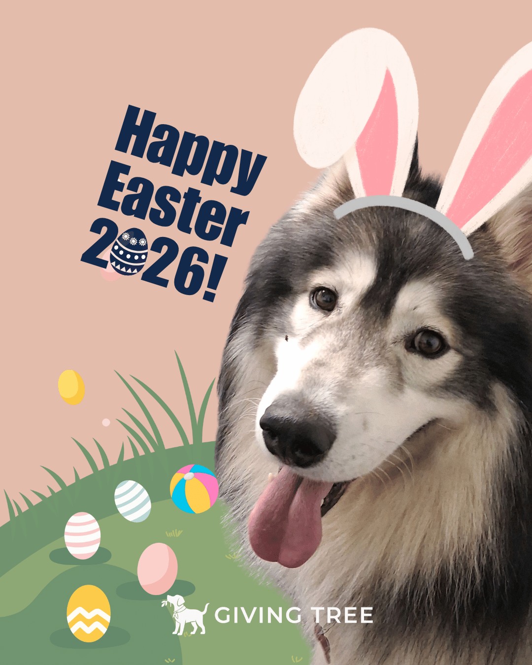 Happy Easter! 🐣🌸
Our furry friends at Giving Tree have hidden some Easter balls!
Can you find them all in the image?
👉 Comment below how many you spotted 👀
#HappyEaster #2026
#GivingTree #Virginia
#GivingTreePetResort #Reston
#givingtreeK9club #fallschurch
#givingtreepetspa #Alexandria