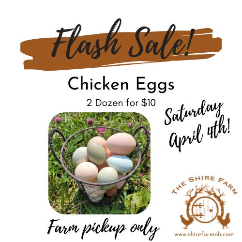 Stop by and pick up some eggs!
#TheShireFarm #pasturedeggs #shopurbana #ohiopastureraised