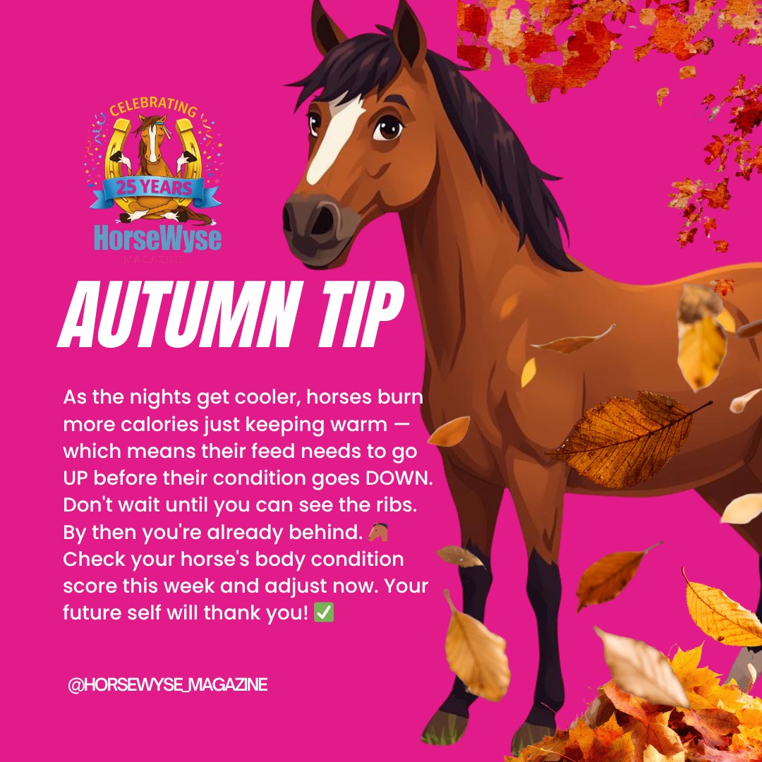 AUTUMN TIP FOR HORSE OWNERS