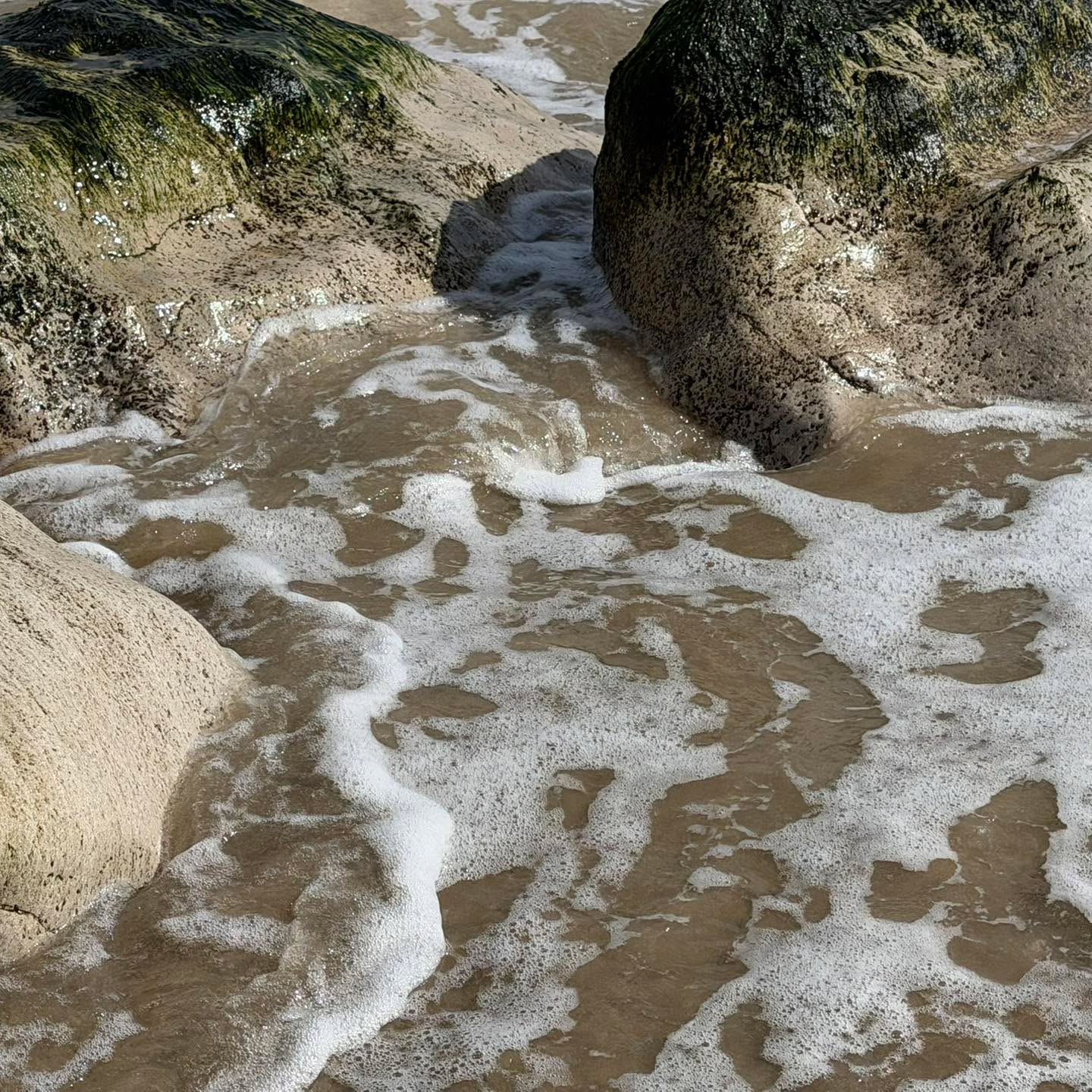 Who can spot the weever fish? 👀
They’re small. They’re well camouflaged. And they bury themselves just beneath the sand in shallow water…
Which means you often don’t see them until it’s too late.
We are on a seaside visit for the school holidays!
Weever fish are one of the most common causes of painful stings on UK beaches, especially in the warmer months. It’s usually a foot that finds them first.
So what should you do if someone gets stung?
First things first, the pain can be intense but it is rarely dangerous.
Here’s the simple approach:
• Get the person out of the water safely
• Check for any visible spines and remove carefully if you can
• Immerse the affected area in hot water (as hot as they can tolerate, without scalding) for 30 to 90 minutes
• This helps break down the venom and reduce pain
• Keep the person calm and monitor how they are feeling
Pain relief can be given if appropriate, and medical advice should be sought if the pain is severe, symptoms spread, or if there are any concerns.
A lot of people reach for cold water or ice… but in this case, that can actually make things worse.
It’s a great example of how a bit of knowledge can make a big difference in the moment.
⸻
At DTMK Training Services, we cover real world scenarios just like this. Not just the theory, but what you’d actually do if it happened right in front of you.
Ready to learn life saving skills?
Message us today to book your course or find out more about our training.
#BystandersToLifesavers #NobodyLeftWithoutCare #PreparedPeople #SaferWorkplaces #StrongerFamilies #DTMK #FirstAid #FirstAidTraining #MiltonKeynes #Buckinghamshire #Bedfordshire #Northamptonshire #Oxfordshire