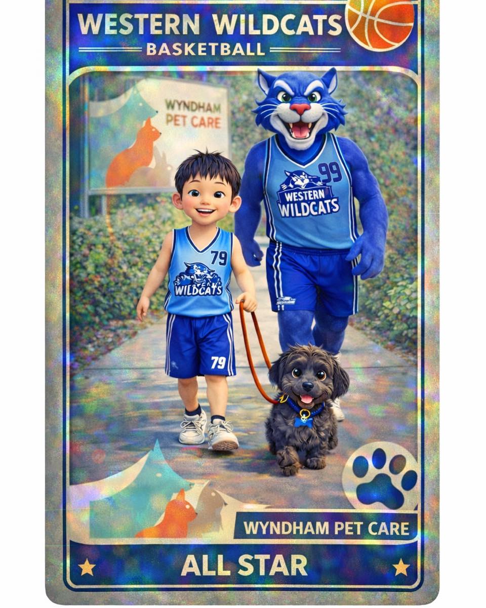 🏀💙 Sponsor Appreciation 💙🏀
The Western Wildcats Basketball Club would like to sincerely thank Wyndham Pet Care for their ongoing support of our club! 🐾✨
You are a truly valued sponsor and an integral part of the Western Wildcats family. We greatly appreciate everything you do to support our players, coaches, and families both on and off the court—keeping our community (and our furry friends!) happy and healthy.
As we sign off on the summer domestic season, we want to recognize the dedicated staff and loyal customers at Wyndham Pet Care. Your support helps us provide a fantastic environment for our athletes to grow and compete.
We can’t wait to see everyone back on the court for a successful and exciting winter season of hoops! 🏀⭐
#westernwildcatsbasketball #wyndhampetcare #CommunitySupport #WildcatsFamily ☀️🐶