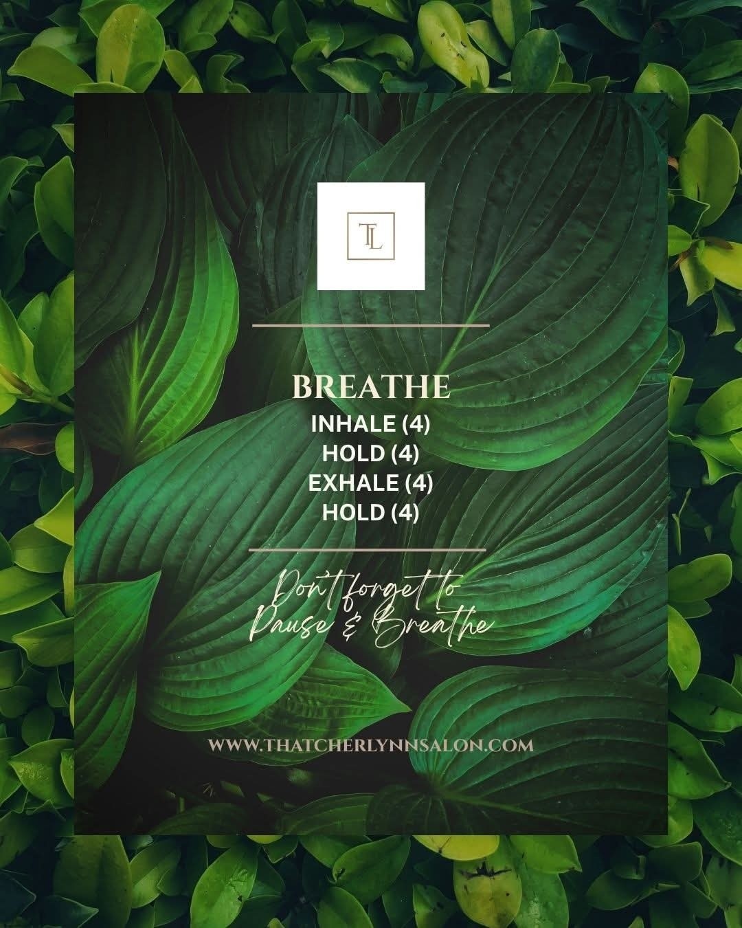You cannot absorb new strategies if your nervous system is running on empty.
This Tuesday, the Reclaiming Your Body Virtual Summit begins. I will be sharing the stage with four brilliant practitioners to help you decode your symptoms, advocate for your biology, and translate the silent language of your hair.
But before we dive into that deep clinical work, we rest.
Use this weekend to step away from the screen, honor your Tech Sunset, and let your body recover from the week. If you haven't registered for the free summit yet, click the link in my bio to secure your ticket. Then, close the laptop, find your peace, and gather your energy.
Bring your symptom logs and your Paper Trail on Tuesday. We have work to do.
