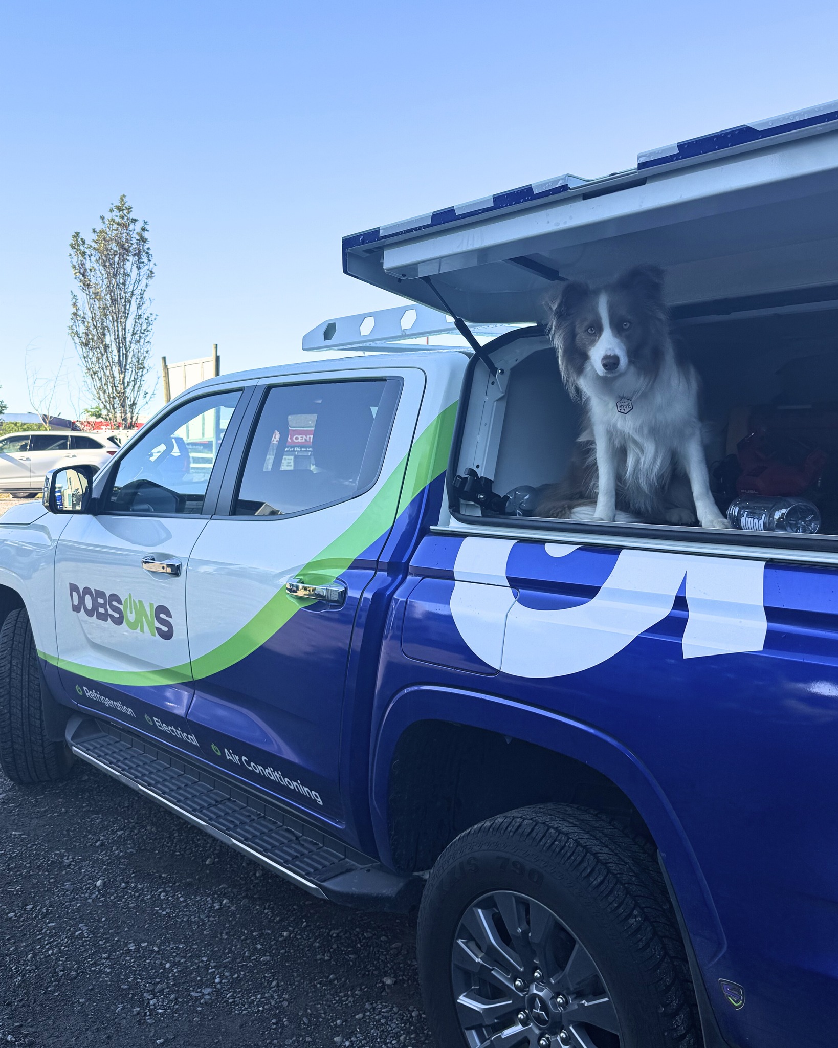 Stella our resident Dobsons doggo wishes everyone a good long weekend 💙