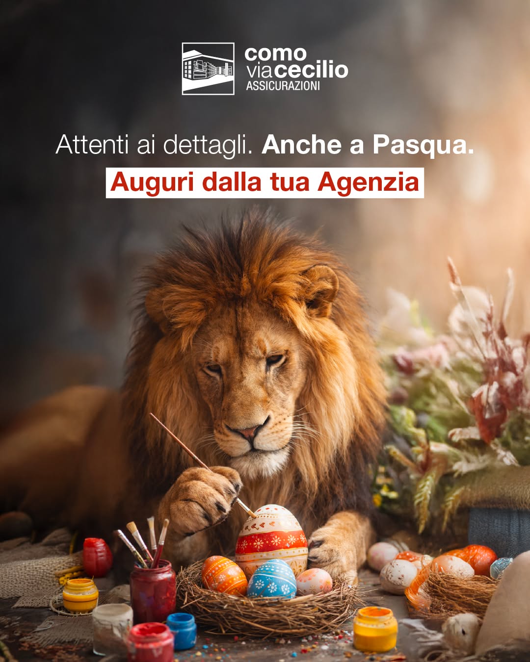 Buona Pasqua! 🦁🐣❤
#Pasqua #Buonapasqua #Generalicomoviacecilio #Partnerdivita #PiùDiUnLavoro