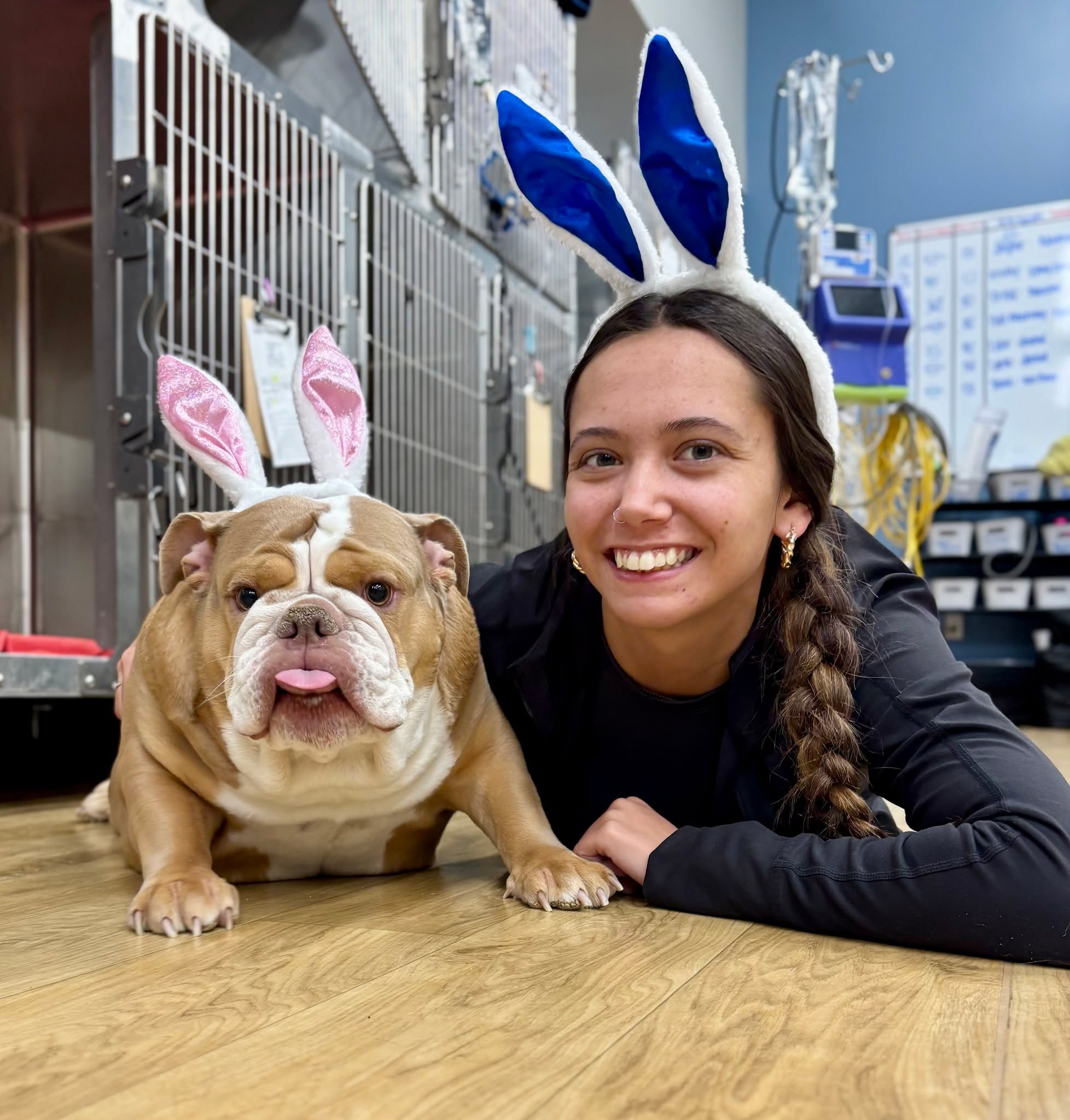 Some-bunny is ready for Easter!
… but let’s keep it safe and remember that not all Easter treats and goodies are safe for our furry friends.
Here’s what to watch out for this weekend:
🍫 Chocolate (especially dark) is toxic to dogs and cats
🌿 Plastic grass & small toys can cause dangerous blockages
🍬 Sugar-free candy with xylitol is extremely poisonous (especially for dogs!)
💐Lilies are extremely poisonous for cats when ingested
If your pet gets into something they shouldn’t, don’t wait, give us a call right away!