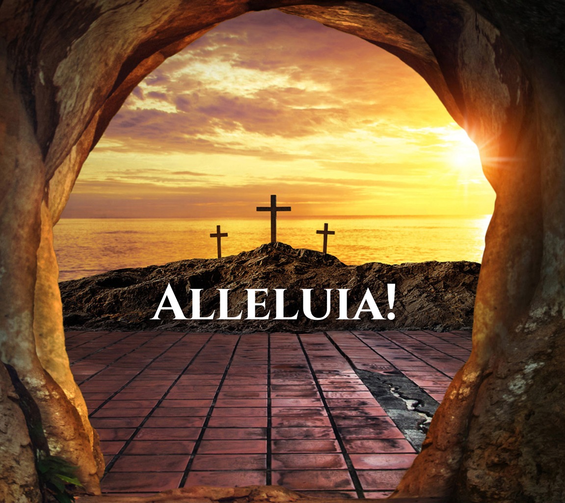 ALLELUIA! HE IS RISEN!
We have three services on Easter Sunday:
8:00 a.m. in Old Brick
9:00 a.m. and 11:00 a.m. with music and choir in New Brick
We have now reached Easter Day – a day of joy, celebration, and the gift of life to God’s people. There are three services this morning, and you are welcome to be with us at 8:00, 9:00, and 11:00 a.m.
At the 9:00 and 11:00 services, a full choir and procession, along with all the rituals appointed for the day, help us celebrate and express our joy. The Easter sermon is given; the choir anthems are spectacular, and the glory of the day radiates from our worship into the community.
Celebrations on this day include the annual Easter Egg Hunt (after the 9 a.m. service) and the Flowering of the Cross (at the 9:00 and 11:00 services). These are beloved celebrations for the youngest among us, and the rest of us ensure a safe and fun time for all. Please be sure to bring your basket or bag for the egg hunt! Flowers will be provided.
Join us!
YOU ARE ALWAYS WELCOME HERE.
https://www.christchurchcolumbia.org/holyweek