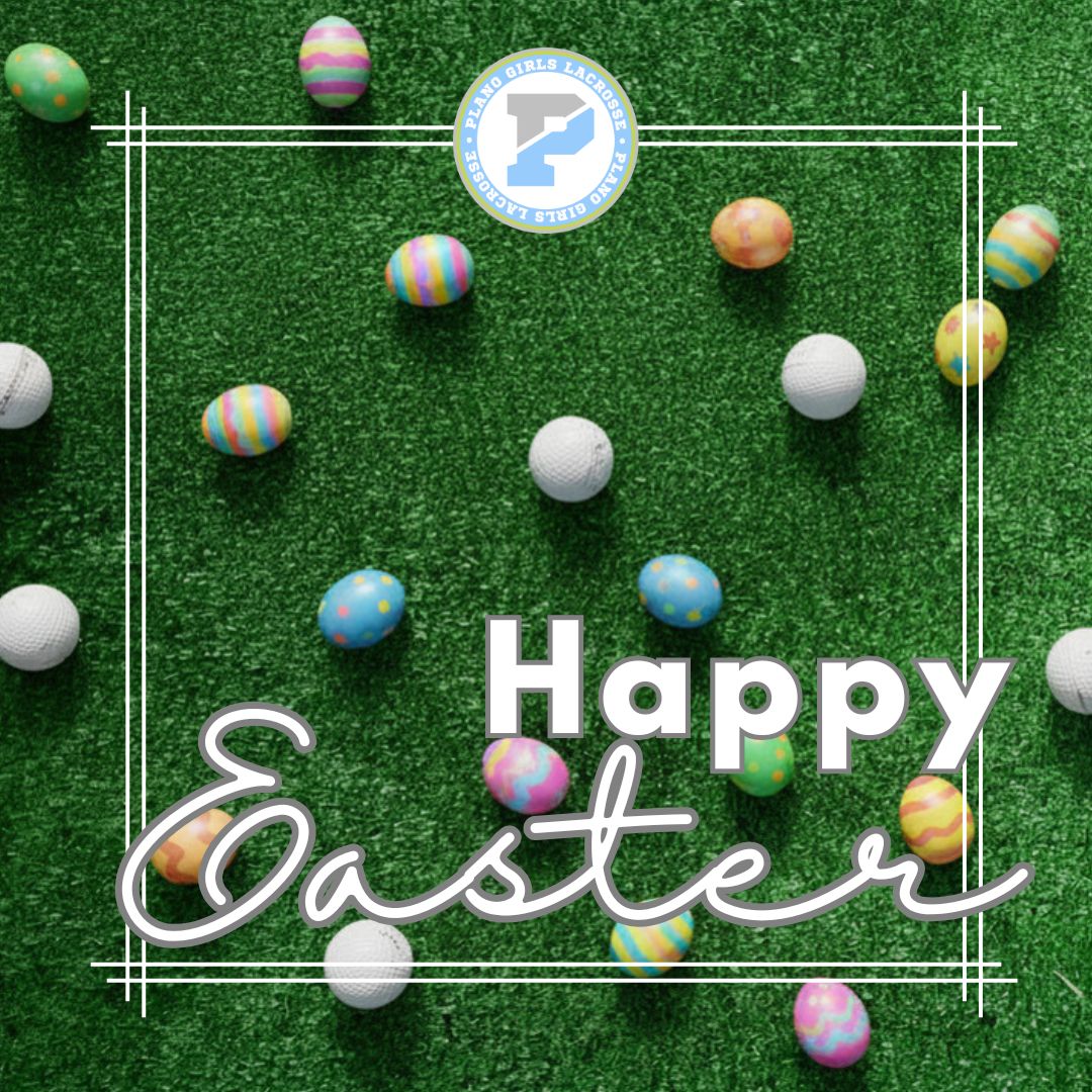 🩵🥍Wishing everyone a bright, joyful day! 💐🐰