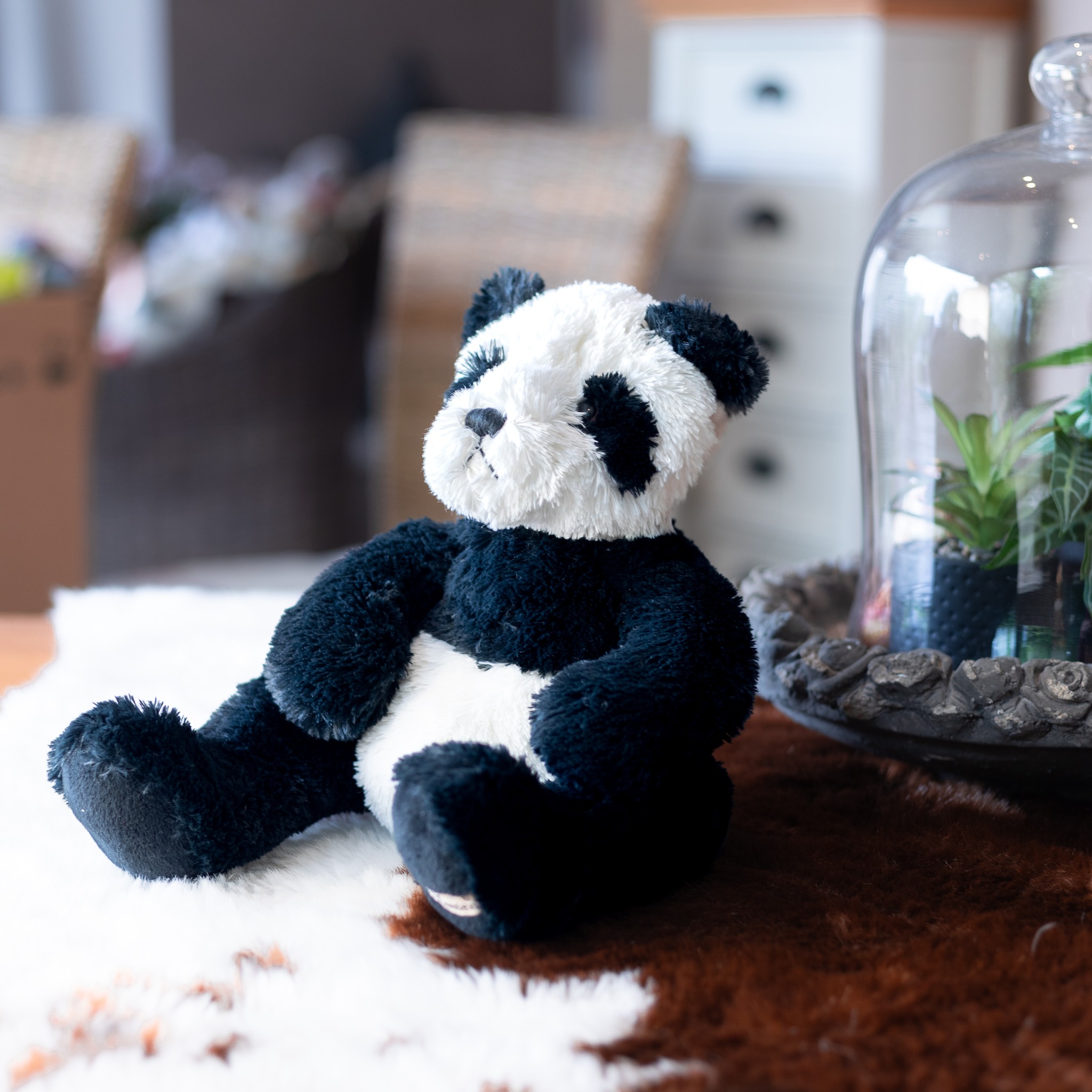 Craquez pour notre adorable peluche "panda Andy" 🐼🤍
Douce, moelleuse et pleine de tendresse, elle deviendra vite un compagnon incontournable au quotidien.
✨ Idéale pour des moments cocooning et des câlins réconfortants.
👉 https://www.lecomptoirdesauthentics.com/product-page/peluche-panda-40cm-andy
#peluche #doudou #cadeau #enfant #bebe