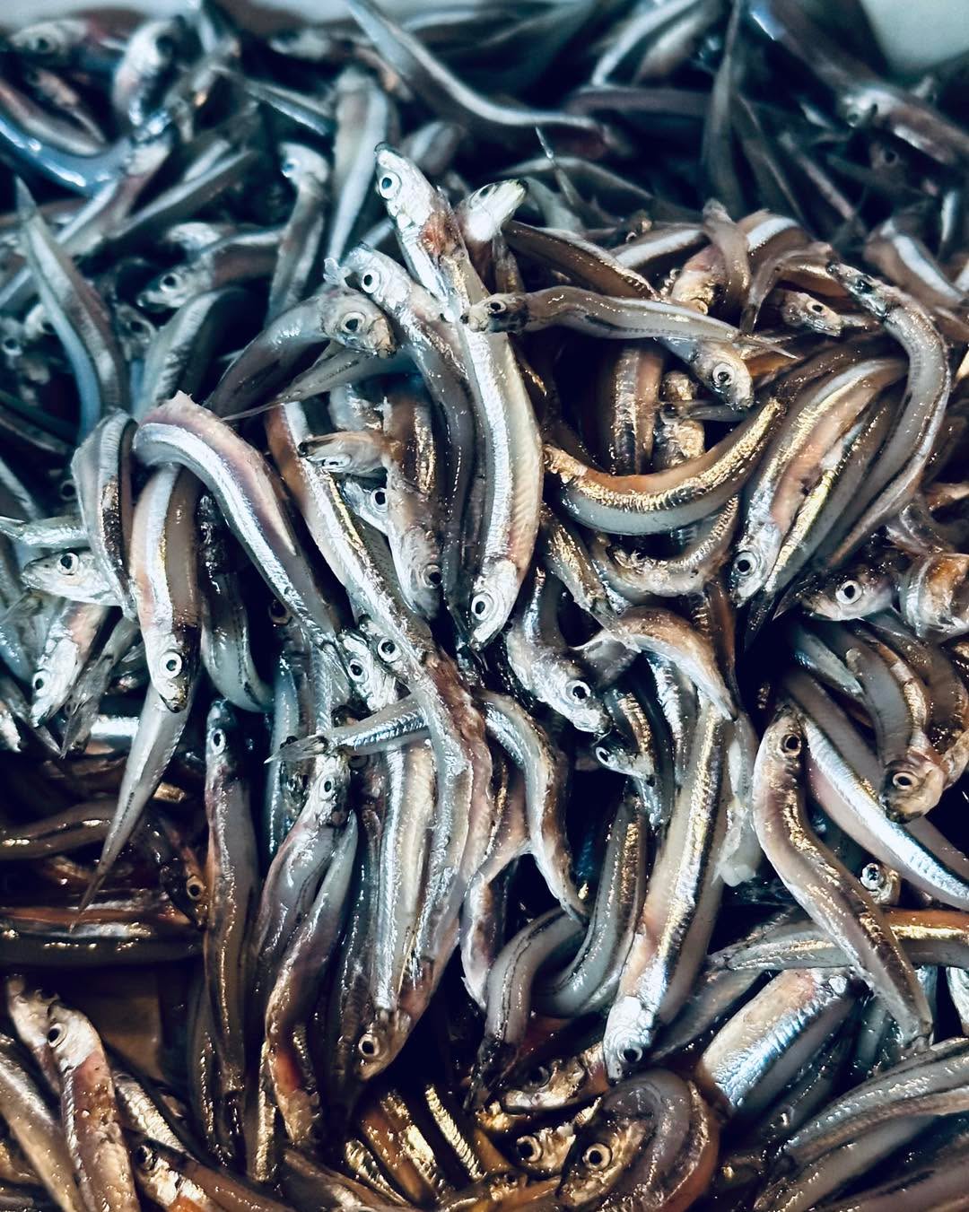 Tiny but mighty, dilis are little Filipino anchovies that pack a salty, savory punch. Perfect as a snack or a crunchy topping, they have been a favorite on Filipino tables for generations and one bite shows why they have stood the test of time. 🐟
Lunch: 11:00am - 3:00pm
Dinner: 6:00pm - 12:00mn
Click ‘Reserve’ in our bio to book your table today!
#Dilis
#FreshFromTheSea
#LocalFishermen
#IslandFood
#SustainableFood
#SeafoodRestaurant
#ElNido