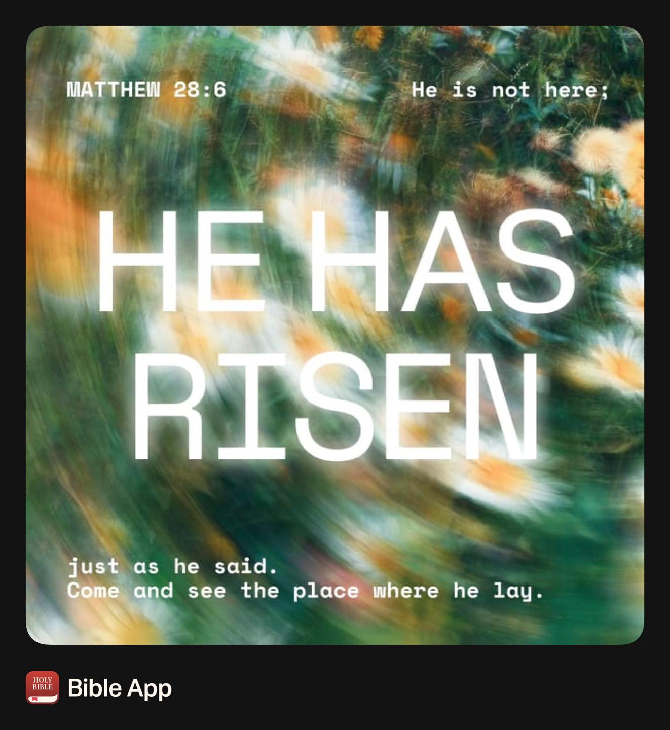 “But the angel said to the women, “Do not be afraid, for I know that you seek Jesus who was crucified. He is not here, for he has risen, as he said. Come, see the place where he lay.”
-Matthew 28:5-6 ESV