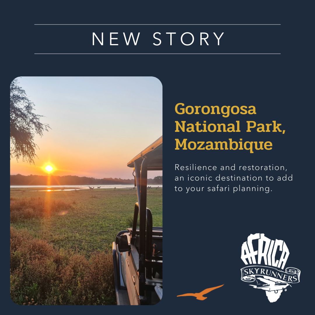 @gorongosapark , Mozambique, is one of Africa’s most compelling restoration landscapes. After devastating wartime losses, the park has been rebuilt through long-term conservation, science, and community-based recovery, and today it supports rich biodiversity across floodplains, savannah, woodland, fever tree and palm forests, wetlands, and rainforest systems.
Read the full article on Gorongosa’s history and diversity👉 https://bit.ly/4vgdjPM
📞💬+27 (0)83 760 1330 📨info@africaskyrunners.com
#AfricaSkyRunners #GorongosaNationalPark #Mozambique