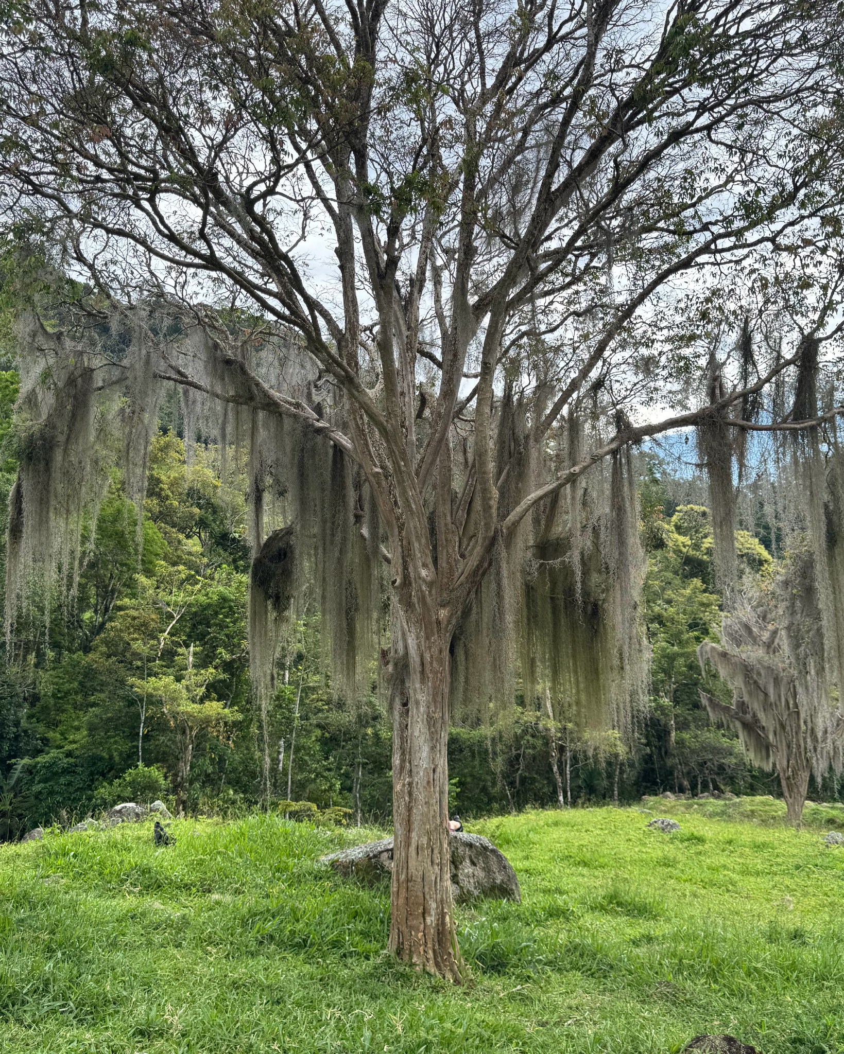 ”Esvaziar as tensões, nutrir o corpo e lembrar do que realmente importa.”
#flordemaria #retirosrj #retiroespiritual