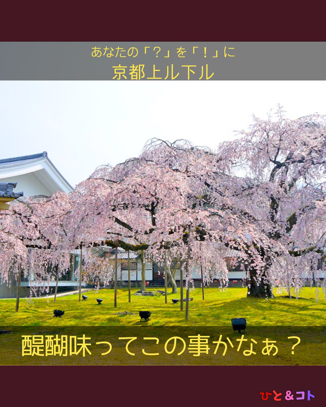 ・
【醍醐味ってこの事かなぁ?】
・
もうお花見は行かれましたか?
・
昨日の雨で桜が散っちゃいましたかね...
ですが、
京都にはまだまだ沢山の桜の名所がありますよ!
・
今日ご紹介する桜スポットは『醍醐寺』
・
・
▼
伏見区の東に位置し、醍醐山に広がる広大な寺院。
「行ってみたい桜名所ランキング」にランクインするほど有名な花見スポット。
河津桜をはじめとする6種類の桜が、
開花シーズンに次々と咲き、
境内をピンク色に染め上げてとても綺麗です。
「醍醐味ってこのことかなぁ?」
って考えてしまします。
・
参道の桜のトンネルも必見で、
まるで別世界にいるような気分にさせてくれますよ
・
・
▼
豊臣秀吉もここで花見の宴をしたと言われています。
「醍醐の花見」として、
現代でも語り継がれるほど有名のようです!
醍醐寺の桜は種類豊富なので満開の時期が異なり、
長期間に渡って楽しむことができます。
・
まだ花見に行けてない!という方も、
色んな桜を見ていたい!という方も、
是非醍醐寺に訪れてみてください
・
・
==========
-あなたの「?(はてな)」を「!(なるほど)」に。-
京都上ル下ル 第三十六歩
醍醐味ってこの事かなぁ?~醍醐寺~
・
まちづくり学生団体ひと&コト
ライター:まちと
==========
ひととともに、まちとともに。
・
・
◆ひと&コトとは?
「ひと&コト」は、京都で活動しているまちづくり学生団体(一般社団法人)です!
メンバーは主に大学生で、京都女子大学、近畿大学、関西学院大学、同志社女子大学、平安女学院大学、関西外国語大学、京都教育大学など、さまざまな大学の1〜4回生が参加しています。高校生も参加しています!
現在、食や子ども、ジェンダー、伝統文化、観光、京都町屋保存など、幅広い分野の取り組みを行っています。
◆ 取り組んでいるプロジェクト
① 伝統文化事業「みやこびより」
和服をもっと身近に感じてもらいながら、よりコアな京都を知ってもらうイベントを企画・運営。
@miyakobiyoriでチェック👀✨
② LGBTQ+事業「にじのわ」
LGBTQ+を理解し、誰もが生きやすい社会を目指す活動。
『にじの集居』も運営中。
@gender_smileでチェック👀✨
③ 飲食文化事業「おむすび家(おむすびけ)」
食品ロス削減に取り組みながら、
“人と人・人と食・人と場所” をつなぐコミュニティ飲食店を運営。
▶ 月1、ランドリーカフェで開催中!2月は21日(土)に開催します
また、日本の三大酒蔵の一つ・伏見の魅力 を若者に知って好きになってもらう「THE 酒プロジェクト」 も並行して活動しています。
@omusubi.keでチェック👀✨
④ 子ども育み事業「まちまなび」
子どものサードプレイスとなる居場所を提供しながら、学校では学べない“学び”を、学校や学年の枠を超えて楽しめる場をつくるプロジェクト。文化体験、職業体験、音楽体験などを検討・実施中。
▶ 2月28日に冬のわくわく工作教室開催予定!
@machimanabi.kodomoでチェック👀✨
⑤ 京町家保存事業「おかえりノベ」
古い京都の町家をリノベーションし、地域の方々の集まりの場・自分たちの活動拠点をつくる活動。
◆ 全体活動日:第2・第4日曜日(+各チーム会議、合宿)
◆ 活動拠点:集居(つどい)/JR・地下鉄二条駅付近
◆ 私たちと一緒に活動しませんか?
京都のまちづくり団体「ひと&コト」では、ただいまメンバーを募集しています。団体/個別説明会を開催していますので、少しでも興味のある方はぜひご参加ください。
▶ 対面新歓:4月19日 ジブン・パレット
5月以降も計画中!
参加希望の方は、プロフィールのURLまたはDMにてお知らせください。