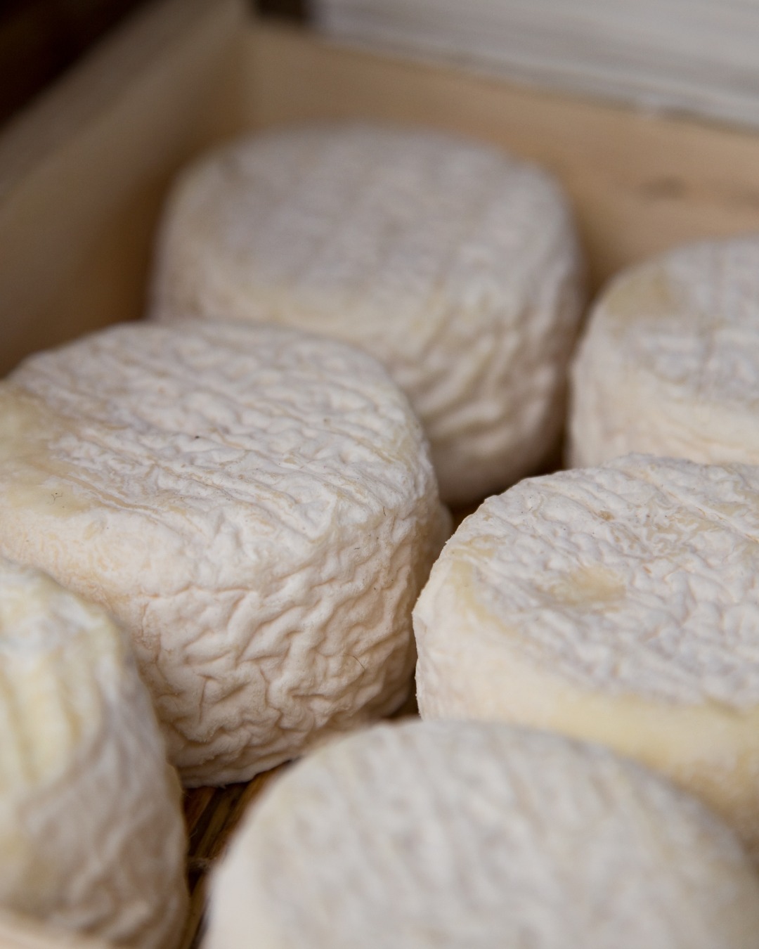 L’excellence AOP : notre chèvre, star du printemps !
Chez Kioui, on a un faible pour les fromages qui racontent une histoire… et celui-ci en a une belle à partager ! Notre chèvre AOP, affiné avec soin, est le fruit d’un savoir-faire traditionnel et d’un terroir d’exception.
.
💡 Pourquoi on l’adore ?
✅ Une Appellation d’Origine Protégée : garantie d’un produit authentique, lié à son terroir.
✅ Un équilibre parfait : entre douceur lactée et légère acidité, il sublime vos assiettes printanières.
✅ Polyvalent : à déguster nature, en salade, ou sur une tartine avec un filet de miel.
.
👉 Les accords parfaits selon Arthur, notre expert fromager :
• Avec des légumes primeurs : radis, jeunes pousses ou asperges.
• Avec un vin : un Sancerre ou un Pouilly-Fumé pour les blancs, ou un Chinon pour les rouges légers.
• En cuisine : fondre quelques morceaux sur une tarte aux poireaux ou dans un risotto.
.
🌿 Où le trouver ?
Au rayon fromagerie, bien sûr ! Arthur et son équipe se feront un plaisir de vous conseiller pour choisir le chèvre qui vous correspond.
.
.
.
#kioui #kiouiarras #lebongoutdumarche #kiouiprimeurs
#primeur #fruits #legumes #fromages #charcuterie #epiceriefine #madeinfrance #shoplocal #bio #vrac #instagourmand #foodaddict #healthyfood #lifestyle #familygoals #arras #hautsdefrance
.
www.kioui-primeurs.fr