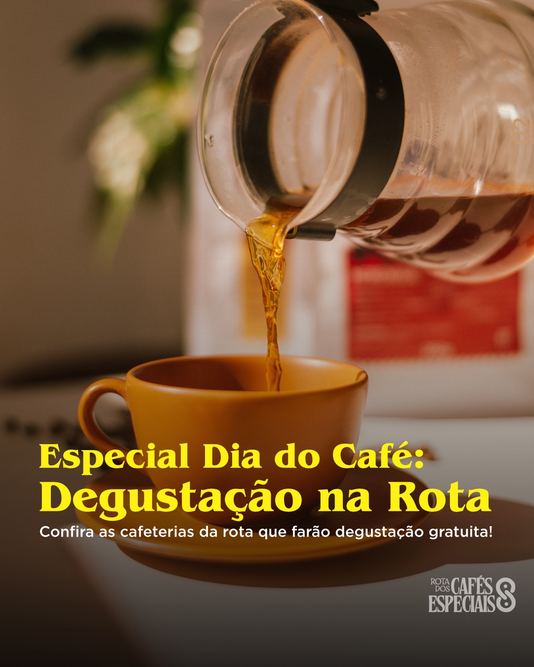 Em comemoração ao Dia Mundial do Café, preparamos uma experiência especial pra você!
As cafeterias da Rota dos Cafés Especiais estarão com degustações gratuitas ao longo da semana — uma oportunidade perfeita pra explorar novos aromas, descobrir sabores e viver o café de verdade.
🤎 Visite diferentes cafeterias
🤎 Experimente cafés especiais
🤎 Celebre essa paixão com a gente
Chama quem ama café e vem aproveitar esse roteiro cheio de sabor!
📍 Confira os horários e monte seu tour
☕ Nos vemos na rota!
#diamundialdocafé #RotaDoCafé #caféespecial #amorporcafé #degustaçãodecafé