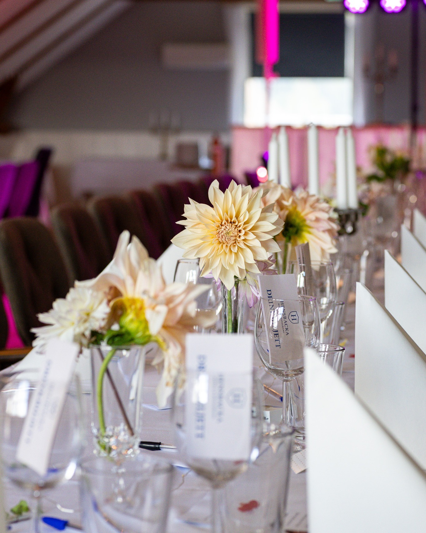 Boka bröllop i lugn och lantlig miljö 💍
Hos oss kan ni samla allt på ett ställe - vigsel, middag och övernattning i en lugn och naturnära miljö. 🥰
Läs mer: www.hensbackahotell.se/brollop