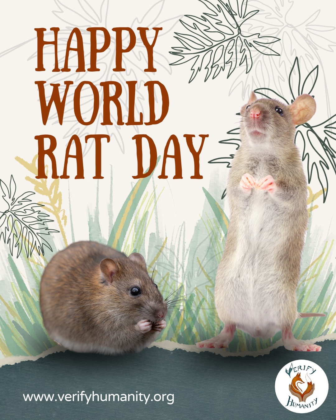 World rat day 🐀 ❤️
Today, we're celebrating these tiny companions with the biggest personalities. From their curious nature and clever minds to the way they form such deep bonds with both humans and other rats. They are truly something special. Whether they're climbing, exploring, or curling up for a nap, every moment with them is full of joy.
They might be small but they make a huge impact on our lives so let's celebrate them this Rat Day!
#RatDay #RatLife #SmallPets #FurryFriends #AnimalLovers #RatCommunity #AnimalAppreciation