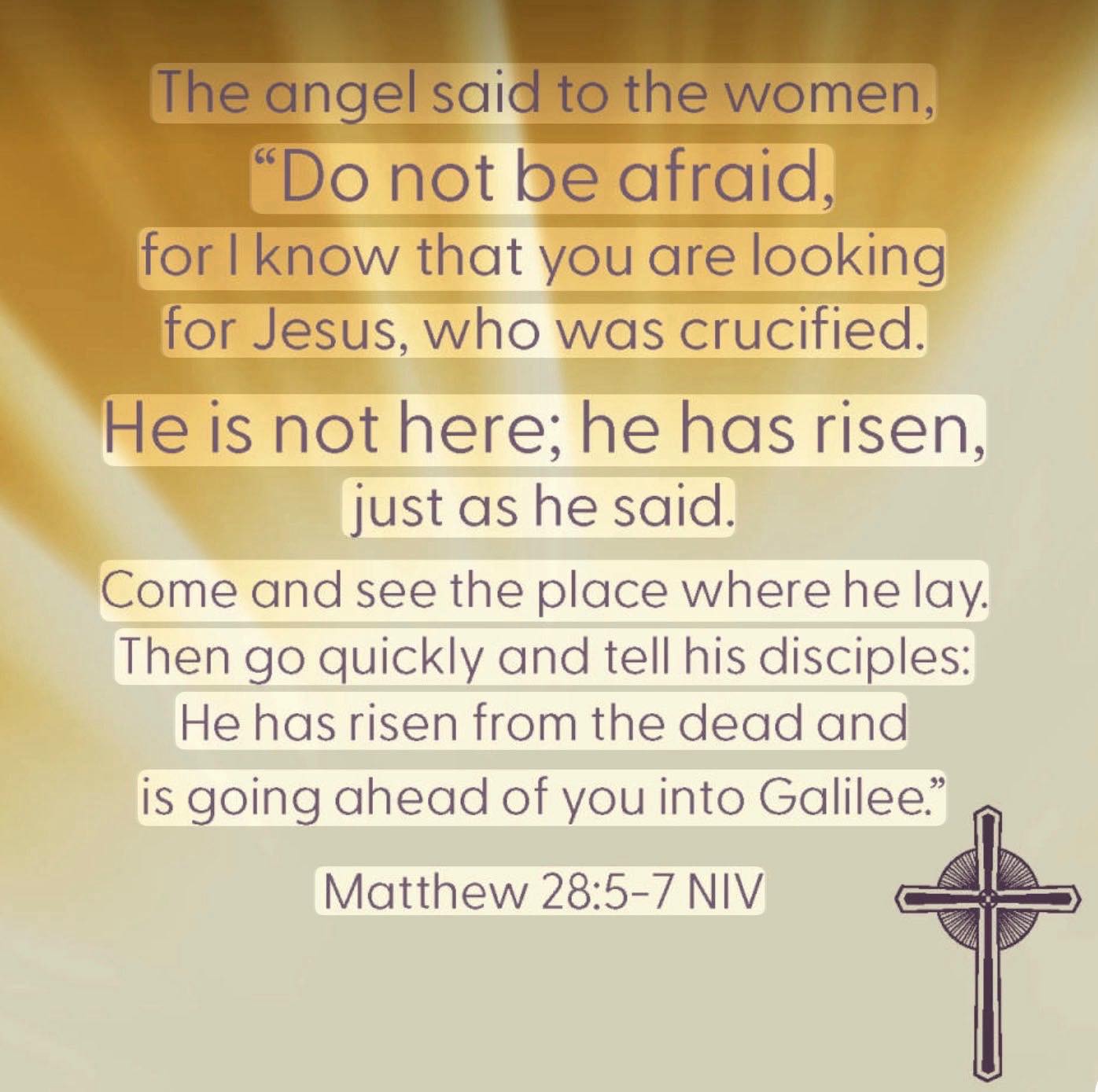 Easter means HOPE! Renewal. Grace. A reminder that love wins, even when it feels like the world is at its worst.
And yet, this year feels heavy and I am so saddened. Not only from grief, but I’m struggling with what I’m seeing, not just in our country, but in how faith…specifically Christianity, is being used.
I see people being dismissed, judged, and treated as if they are less worthy of compassion…lots of them by those who claim to serve the God of love and mercy.
I see scripture used not to lift people up, but to draw lines and push people out..lots of them! I hear Christians talk about people “who deserve no mercy” as if those people exist.
That doesn’t feel like the message of Jesus. It’s not the message of Jesus!!!
The Jesus I learned about and continue to learn about sat with the outcasts. He defended the marginalized. He challenged those in power who believed they were more righteous than others. He never weaponized faith. He embodied love, humility, and mercy.
So today, I’m holding onto that version of faith.
One that asks us to care more, not less.
To listen more, not judge faster…or at all!
To remember that none of us are above grace. NONE OF US! No matter the color of our skin, how we dress, who we love or where we’re from!!
He died for ALL OF US! Not for some of us more than others!!
If Easter is about anything, maybe it’s this:
We all have a chance to choose love again.
I’m trying to choose that. Even when it’s hard. And I’m so grateful for the Resurrected King and the hope we have in Him!
He is risen indeed!