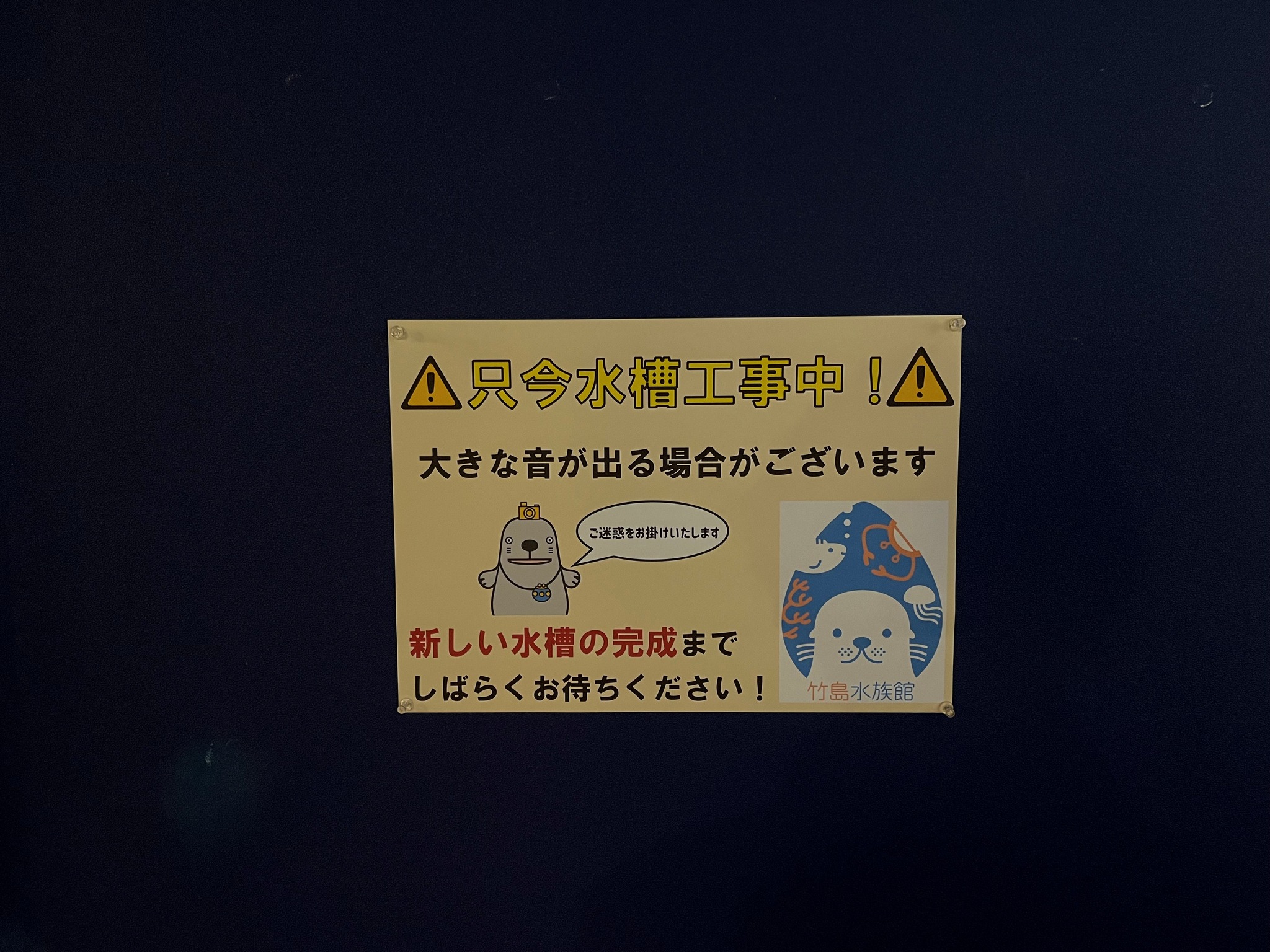 昨日花粉症の薬飲み忘れて目が痒すぎたどうもヒラマツです。
きっと今日いちにち眼つきの悪いやつだったと思います。
さてそんな話は置いておいといて、春休みが終わって新学期が始まりましたね!水族館がすこし静かになったなと感じますが今月末にはゴールデンウィークがやってくるんですよ!春って穏やかなイメージがあるのに意外と忙しい!!
そんなゴールデンウィークに向けて新しい展示をつくっています。展示替えではなく完全に新水槽を立ち上げるのです。
これから壁をくり抜くのに大きな音がしたり、設置に苦戦してバックヤードから嘆きの声が聞こえてくると思いますが完成をもう少しお待ちください!
なんとしてでもゴールデンウィークには間に合わせていきます!
ではでは~
