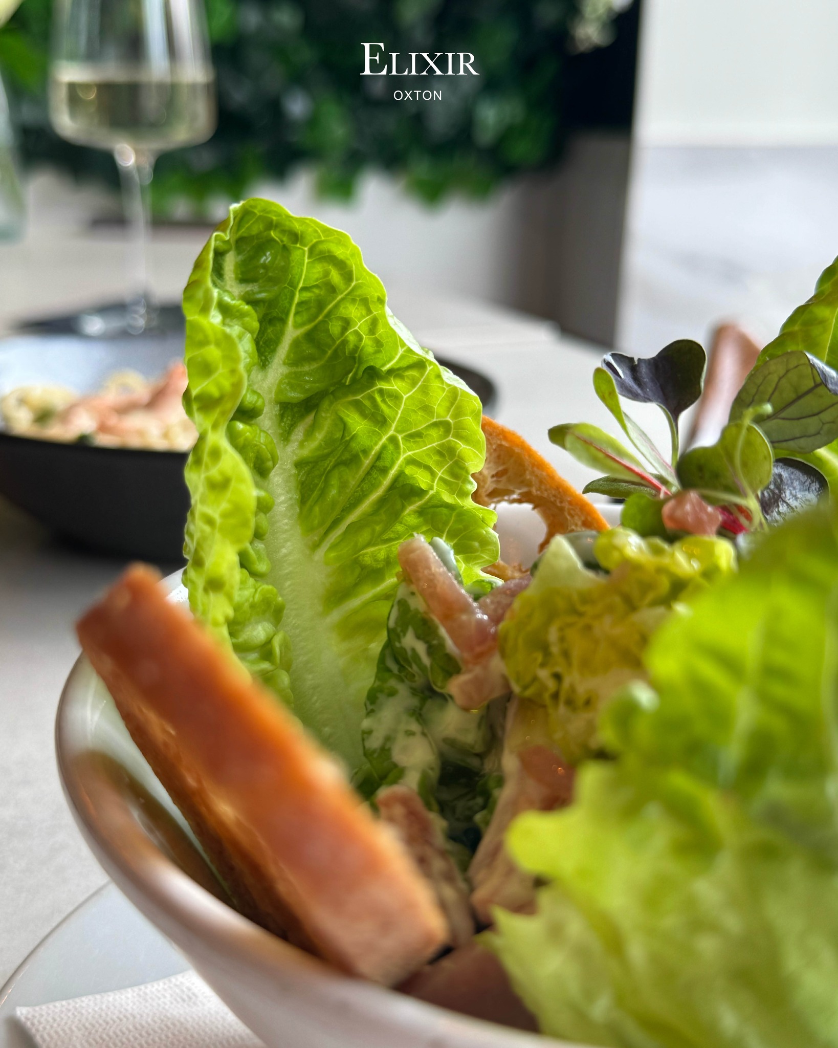 New Menu Item: 𝘾𝙖𝙚𝙨𝙖𝙧 𝙎𝙖𝙡𝙖𝙙 🥬🍅
Crispy romaine with pancetta, parmesan and creamy aioli...
Available with grilled chicken 🥗
#Wirral #WirralRestaurant #Restaurant #oxton #ElixirRestaurant #OxtonVillage #drinks #wirral #Elixir #ElixirWirral #tapas #Food #newmenu